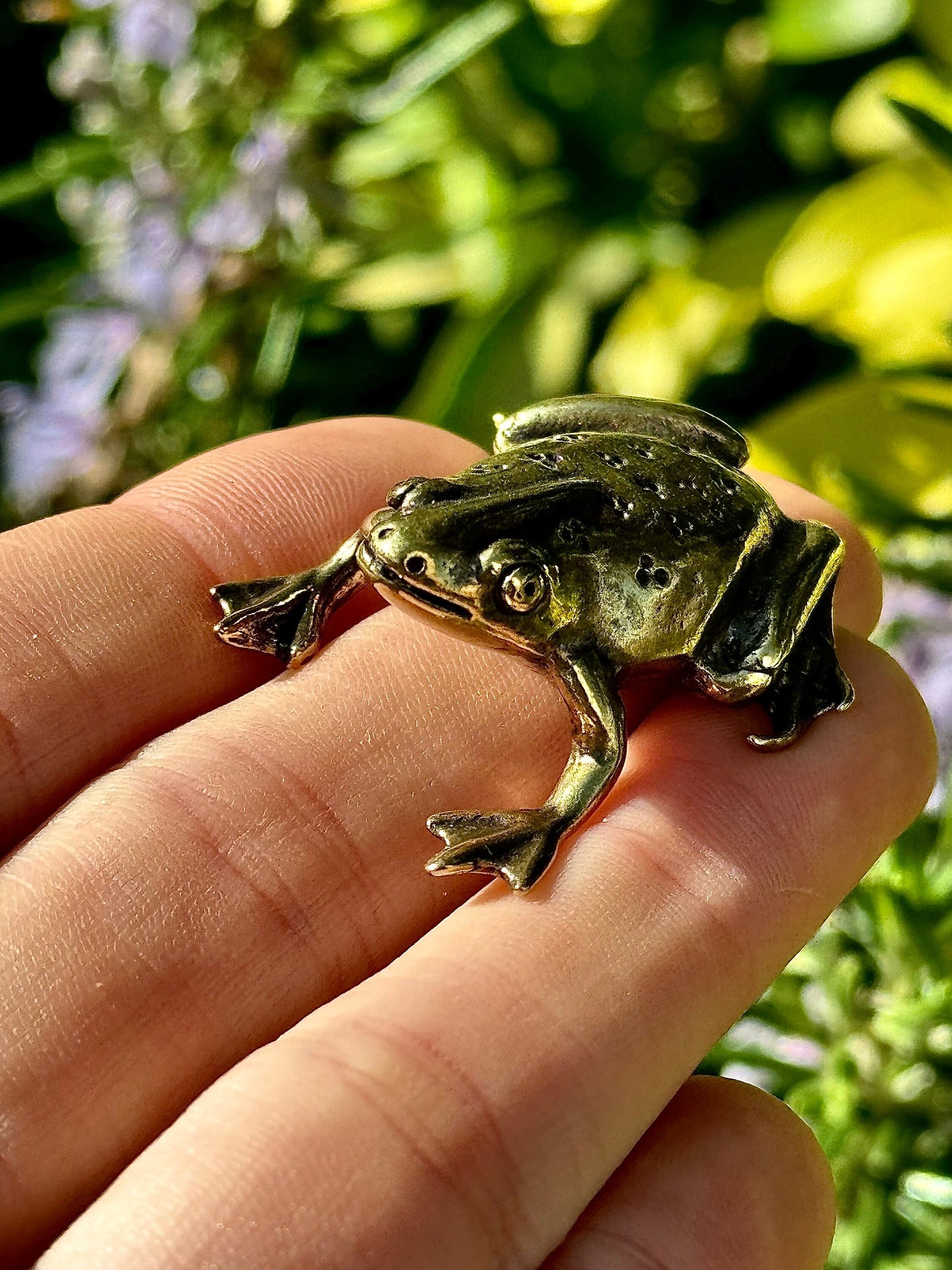 Fine Solid Brass Happy Frog figurine, Big Frog Statue, Small Paperweight, Cute collectible figurine, Frog plant Accessory