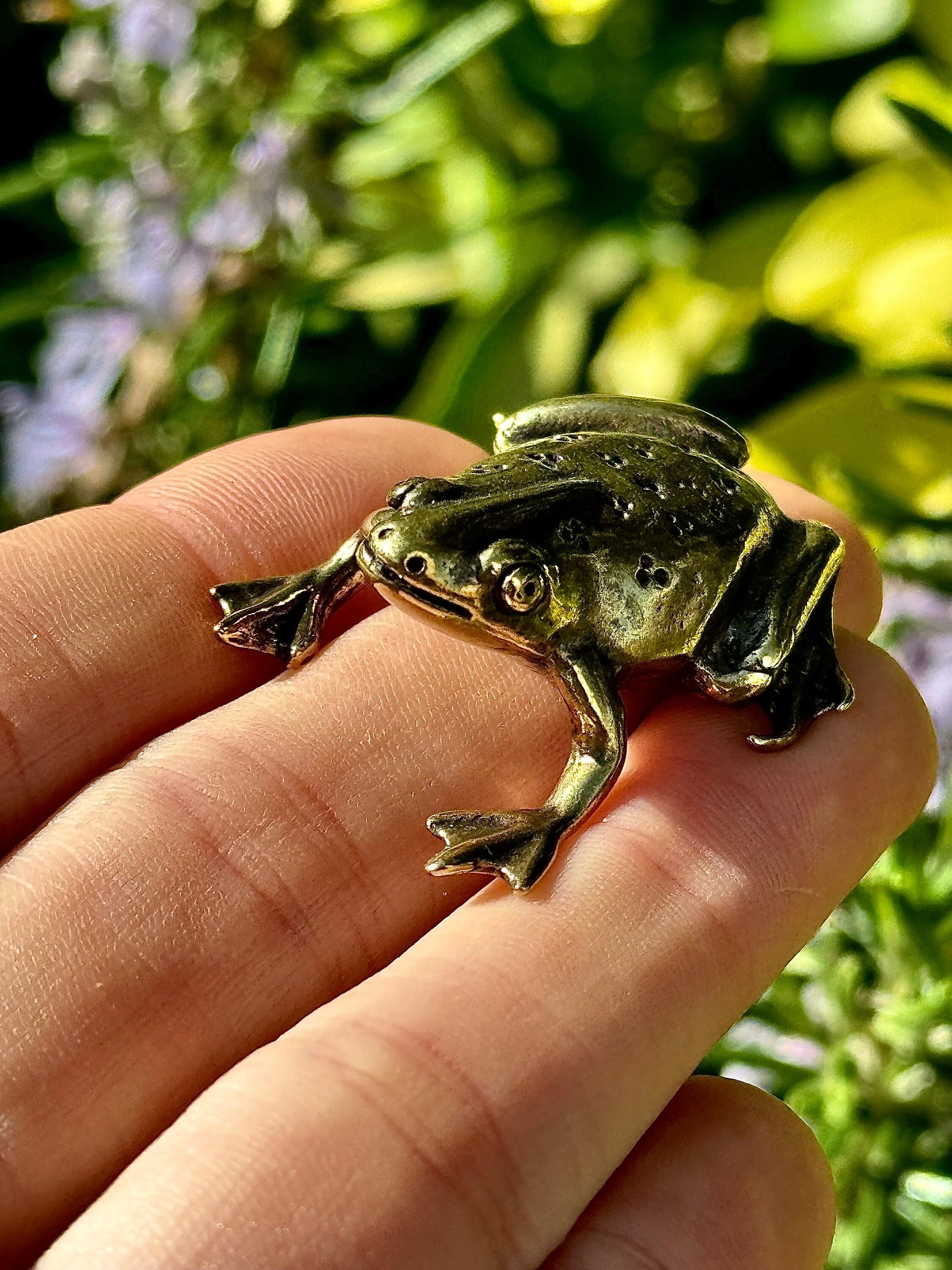 Fine Solid Brass Happy Frog figurine, Big Frog Statue, Small Paperweight, Cute collectible figurine, Frog plant Accessory