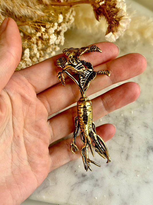 Brass Ginseng Root Fountain Pen Holder and Decorative Desk Ornament - Unique Herbal Sculpture