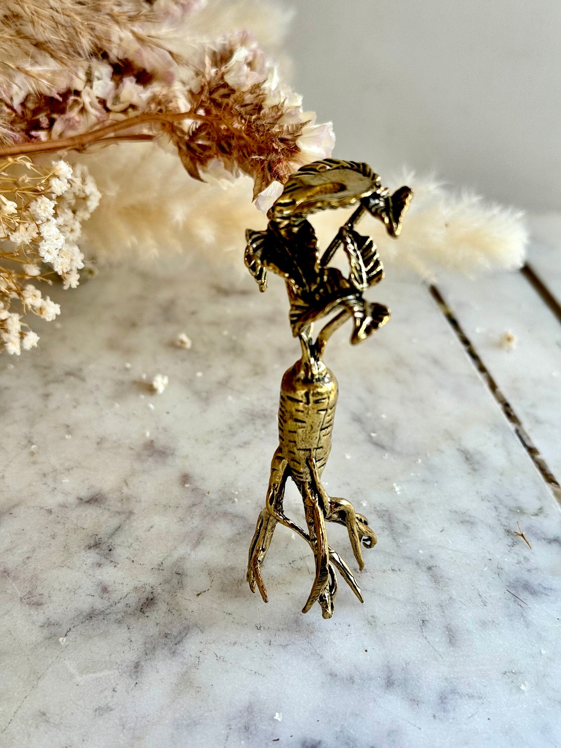 Brass Ginseng Root Fountain Pen Holder and Decorative Desk Ornament - Unique Herbal Sculpture