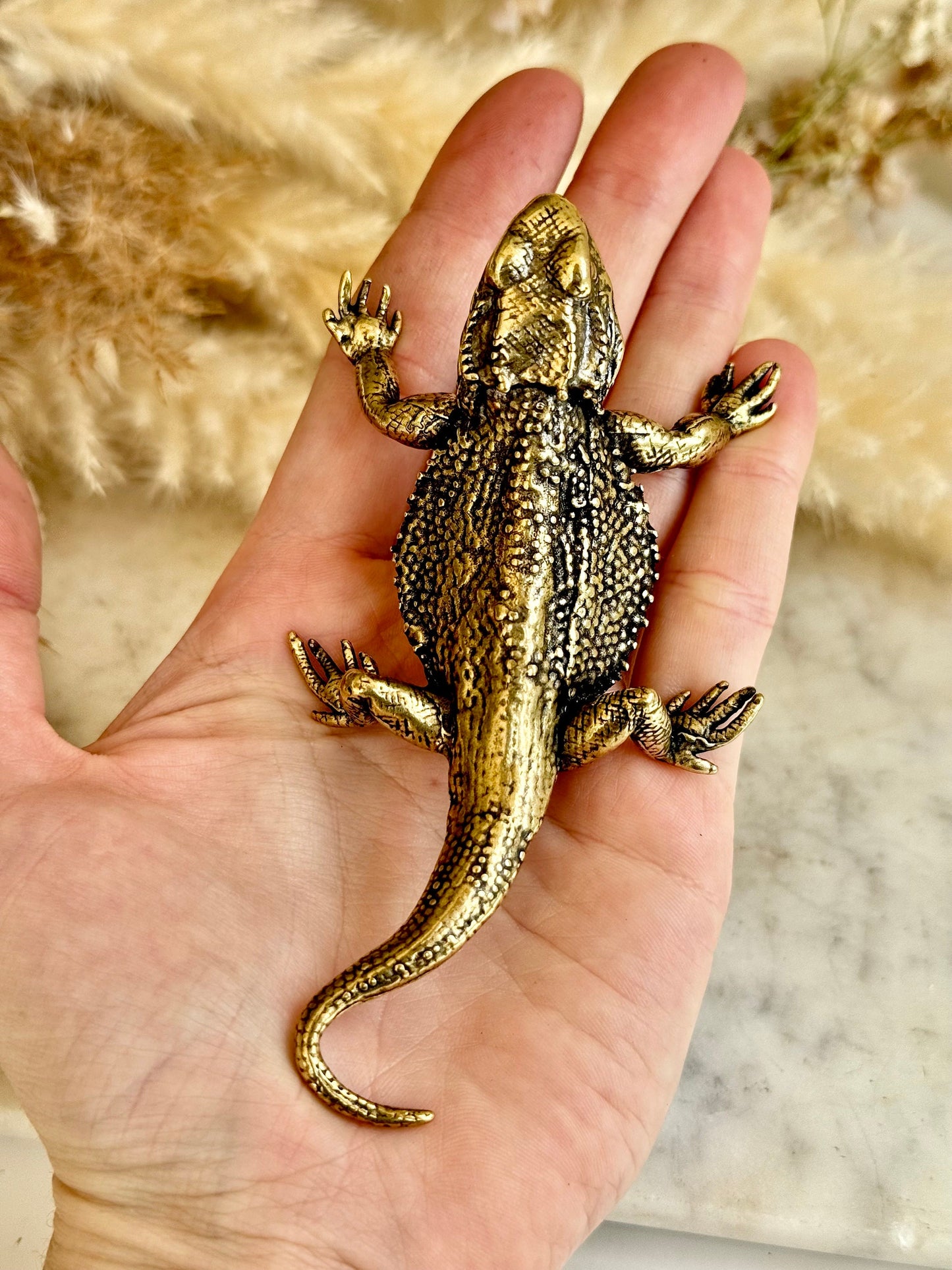 Fine lifelike Brass Bearded dragon Miniature, dragon sculpture, lizard figurine, solid brass figurine, Iguana ornament, metal reptile