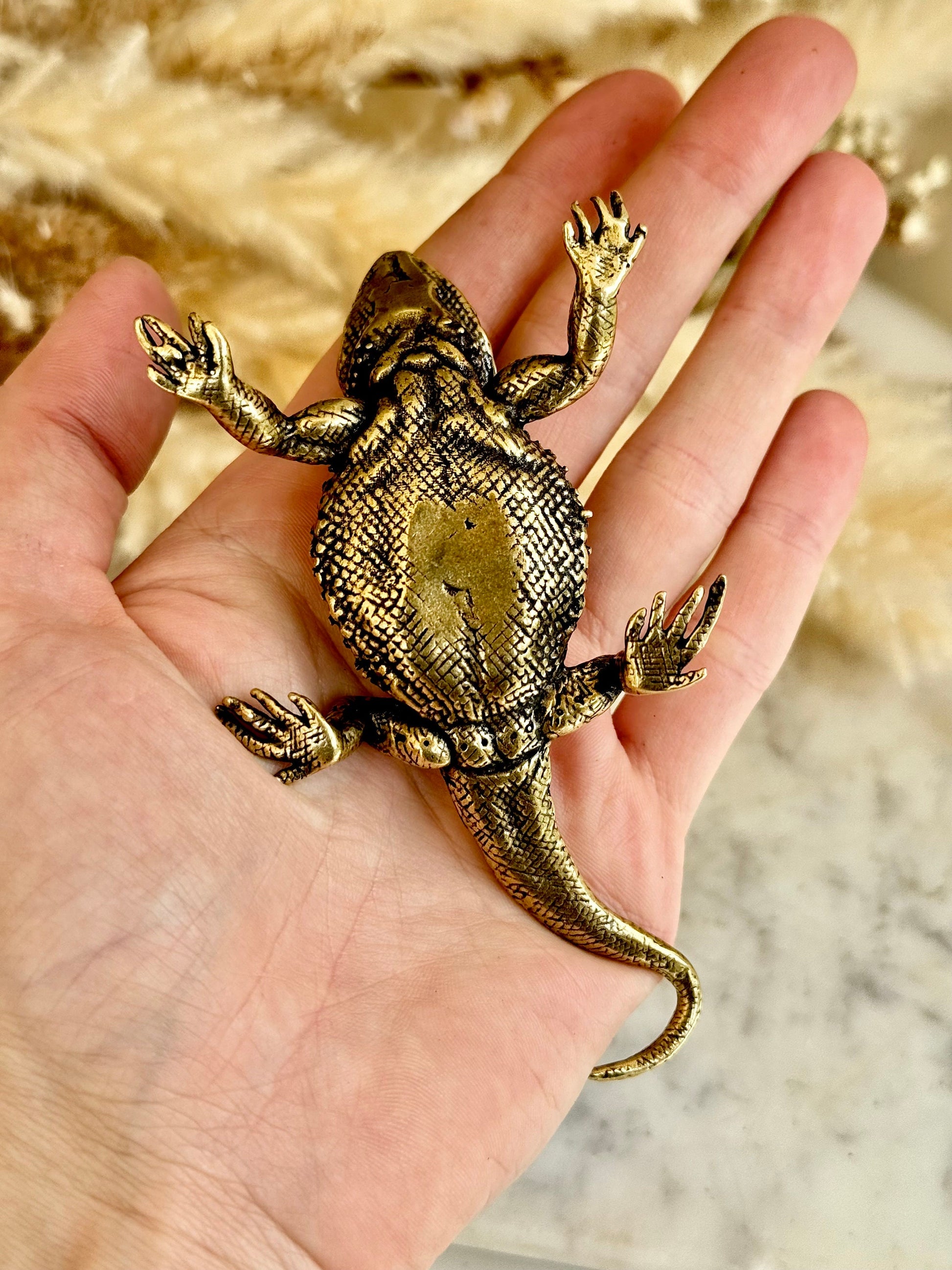Fine lifelike Brass Bearded dragon Miniature, dragon sculpture, lizard figurine, solid brass figurine, Iguana ornament, metal reptile