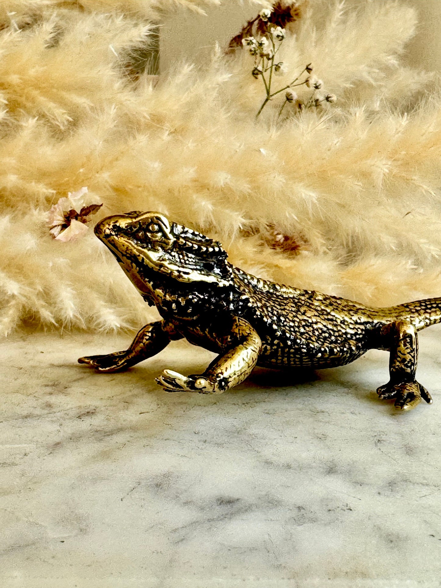 Fine lifelike Brass Bearded dragon Miniature, dragon sculpture, lizard figurine, solid brass figurine, Iguana ornament, metal reptile