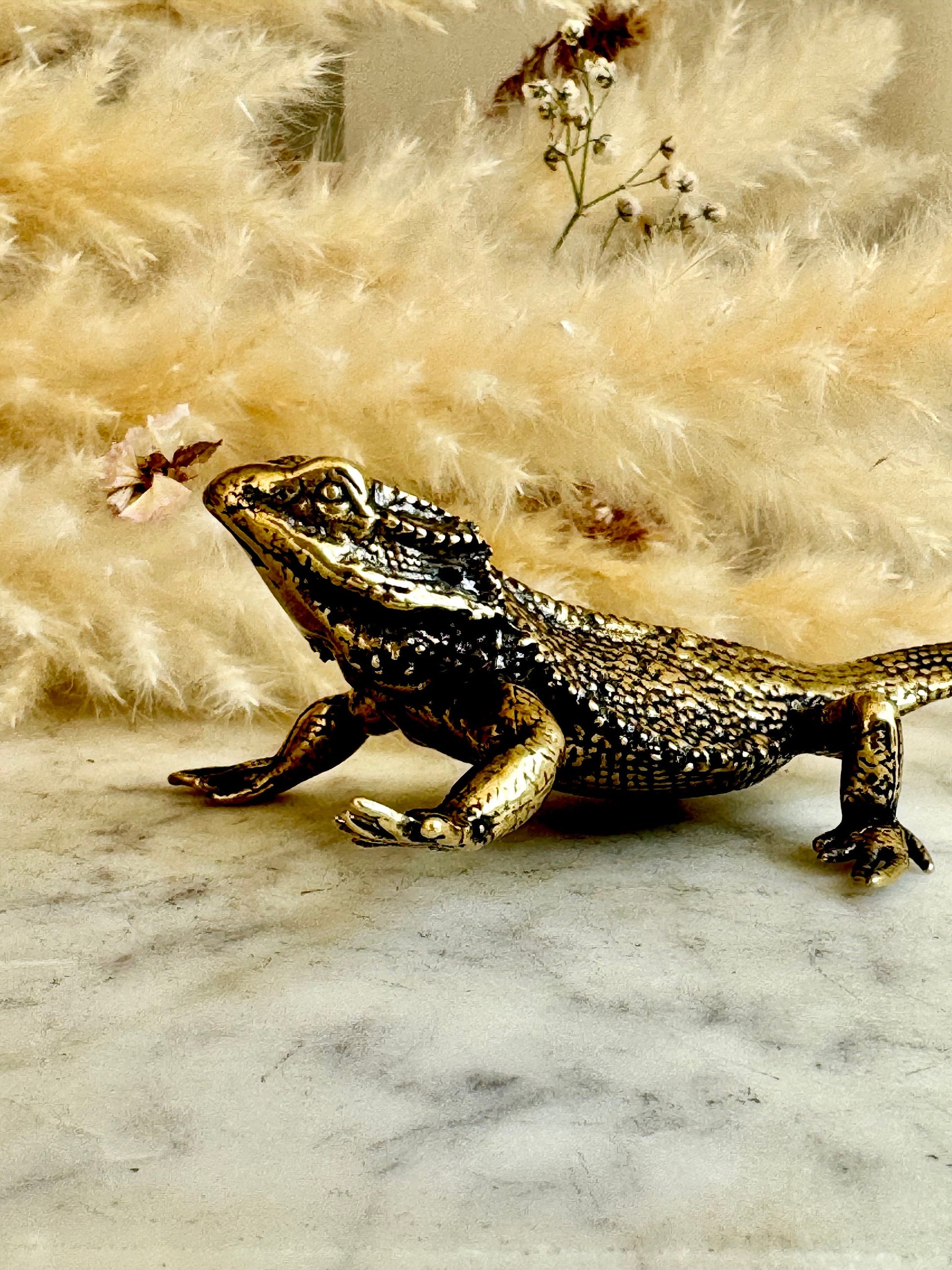 Fine lifelike Brass Bearded dragon Miniature, dragon sculpture, lizard figurine, solid brass figurine, Iguana ornament, metal reptile