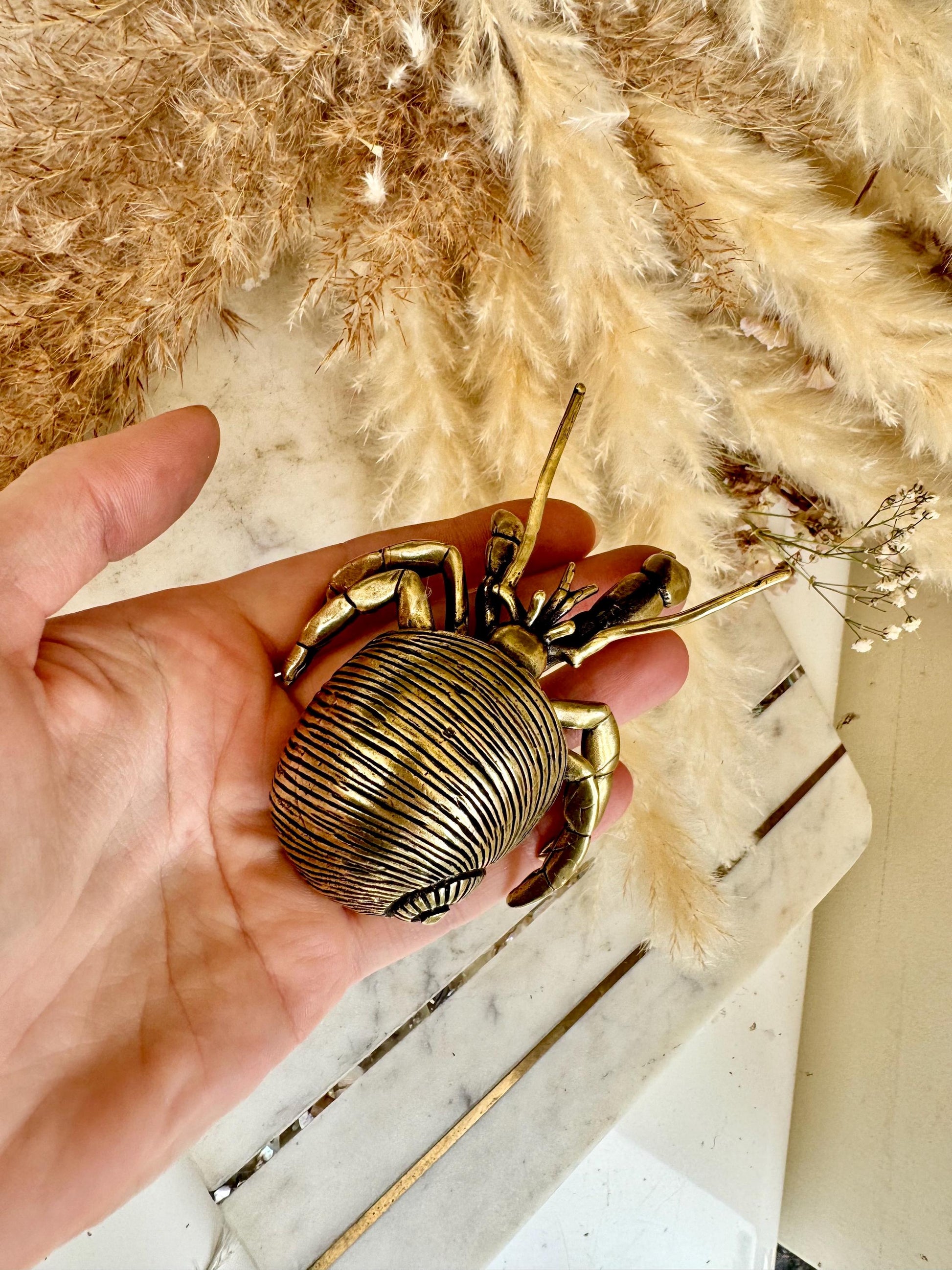 Big Solid Brass Hermit Crab Ornament, seashell figurine, ocean art mollusc miniature, sea-themed decoration, Big crab paperweight