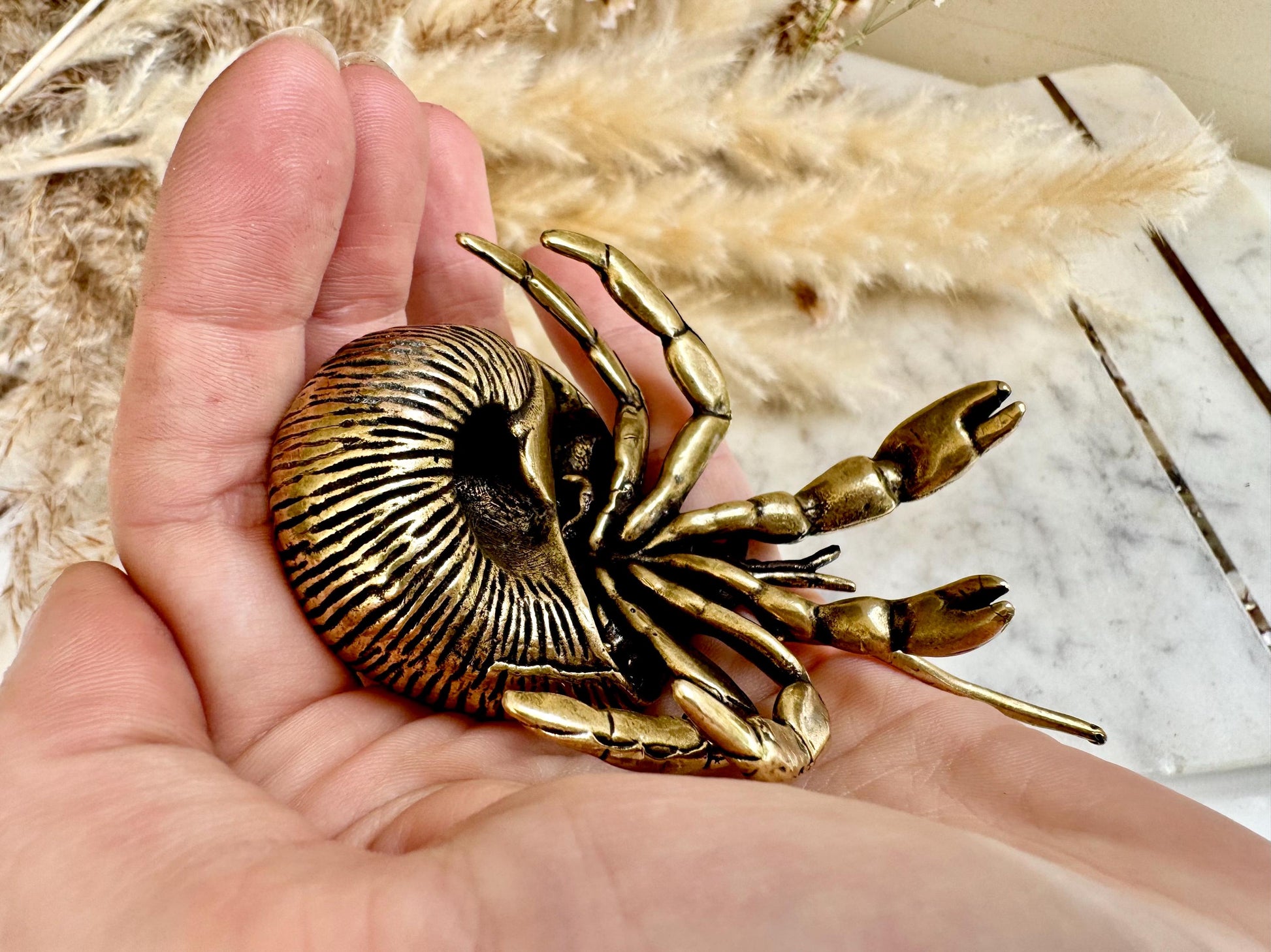 Big Solid Brass Hermit Crab Ornament, seashell figurine, ocean art mollusc miniature, sea-themed decoration, Big crab paperweight