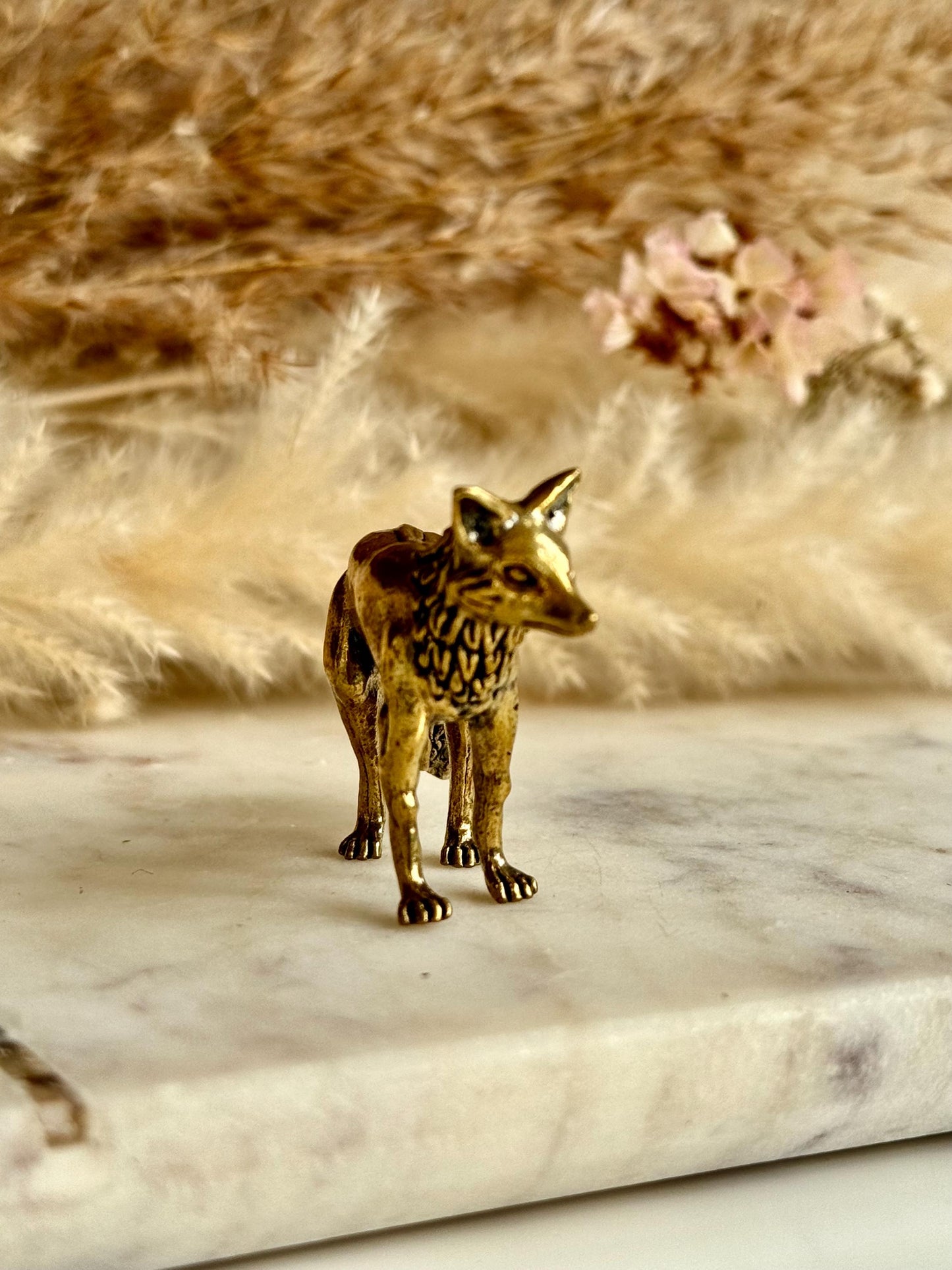 Fine statuette of grey fox, solid brass fox figurine, wild life desktop decoration, brush stand, creative little fox gift