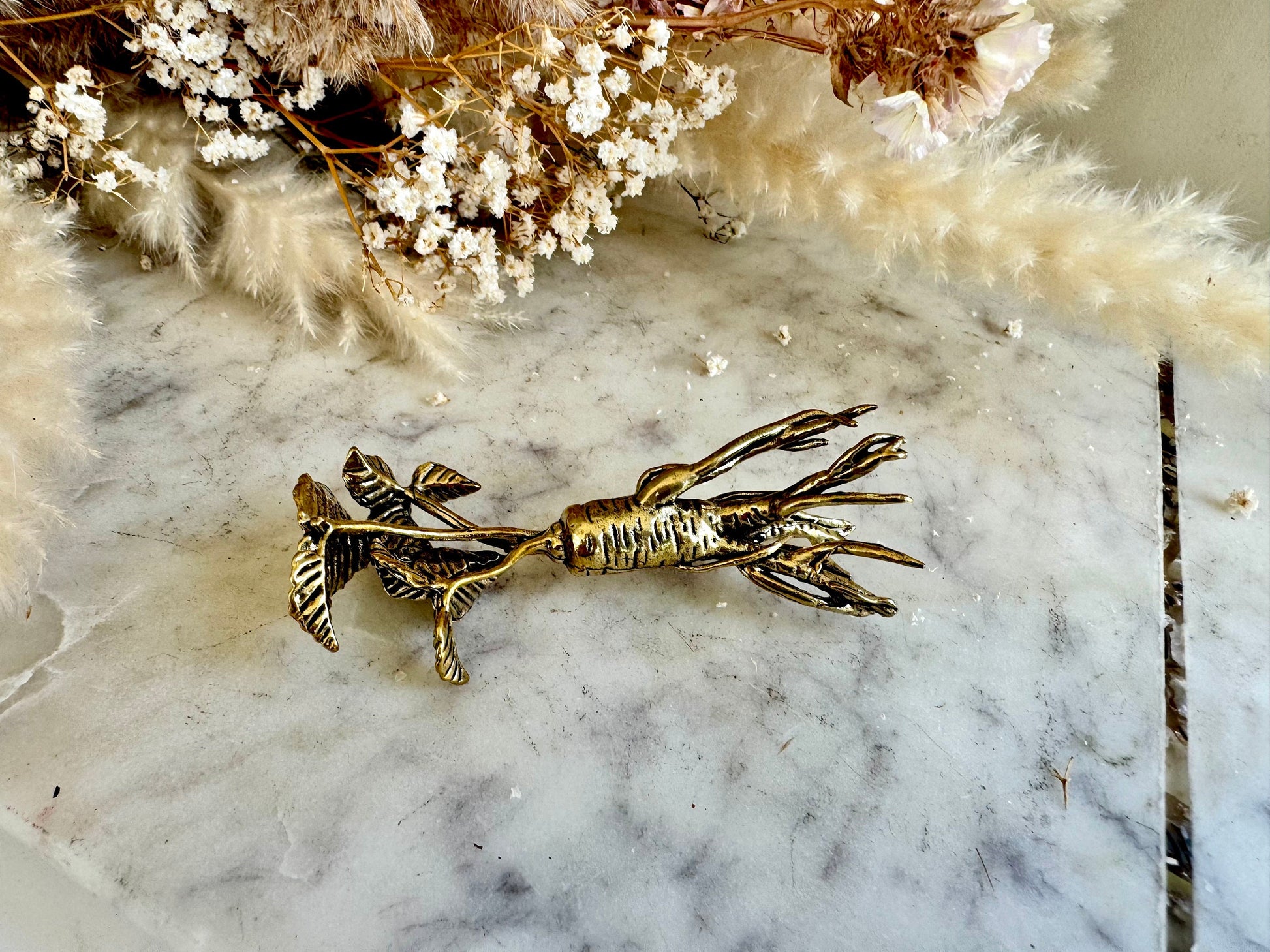 Brass Ginseng Root Fountain Pen Holder and Decorative Desk Ornament - Unique Herbal Sculpture