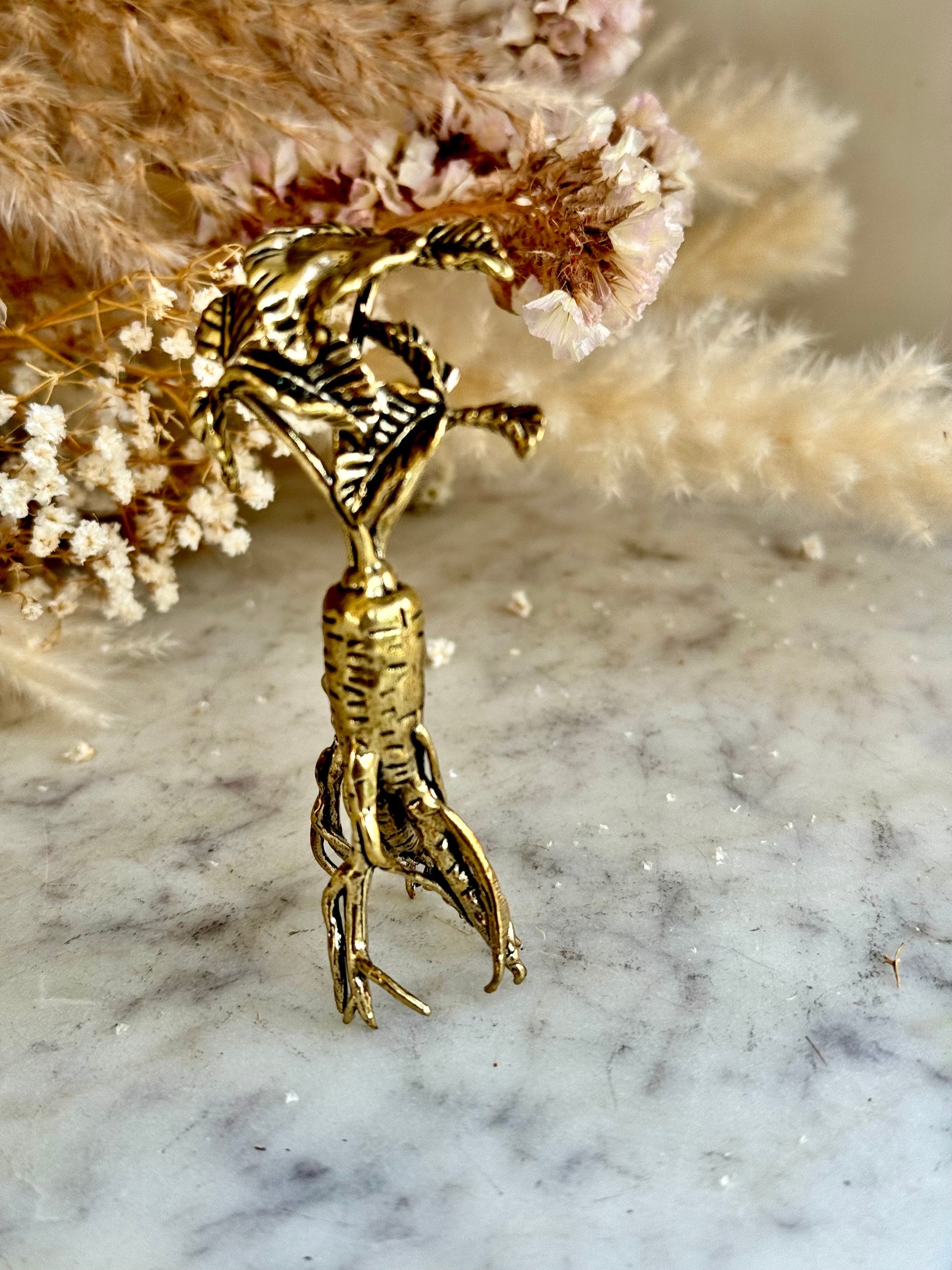 Brass Ginseng Root Fountain Pen Holder and Decorative Desk Ornament - Unique Herbal Sculpture