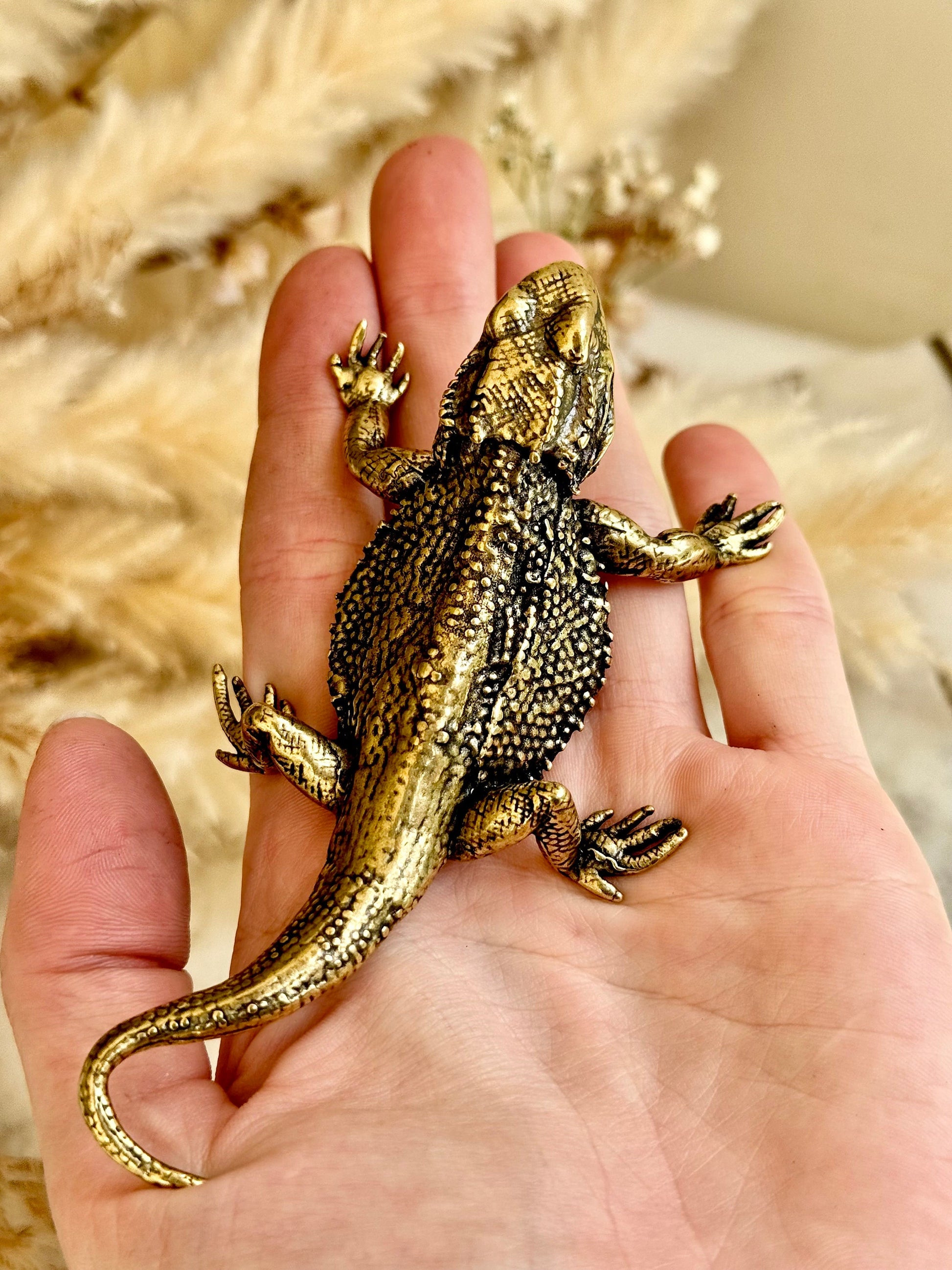 Fine lifelike Brass Bearded dragon Miniature, dragon sculpture, lizard figurine, solid brass figurine, Iguana ornament, metal reptile