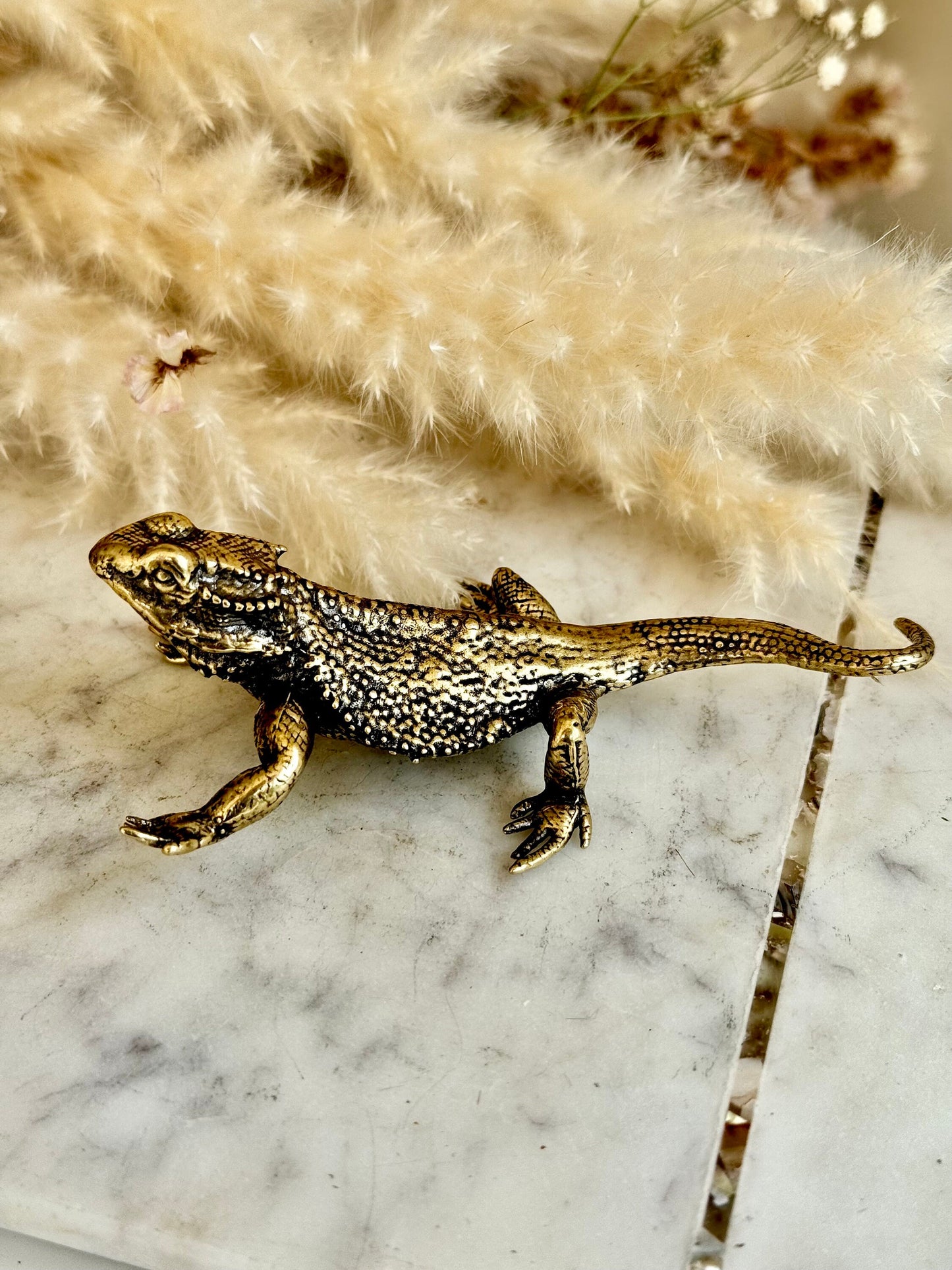 Fine lifelike Brass Bearded dragon Miniature, dragon sculpture, lizard figurine, solid brass figurine, Iguana ornament, metal reptile