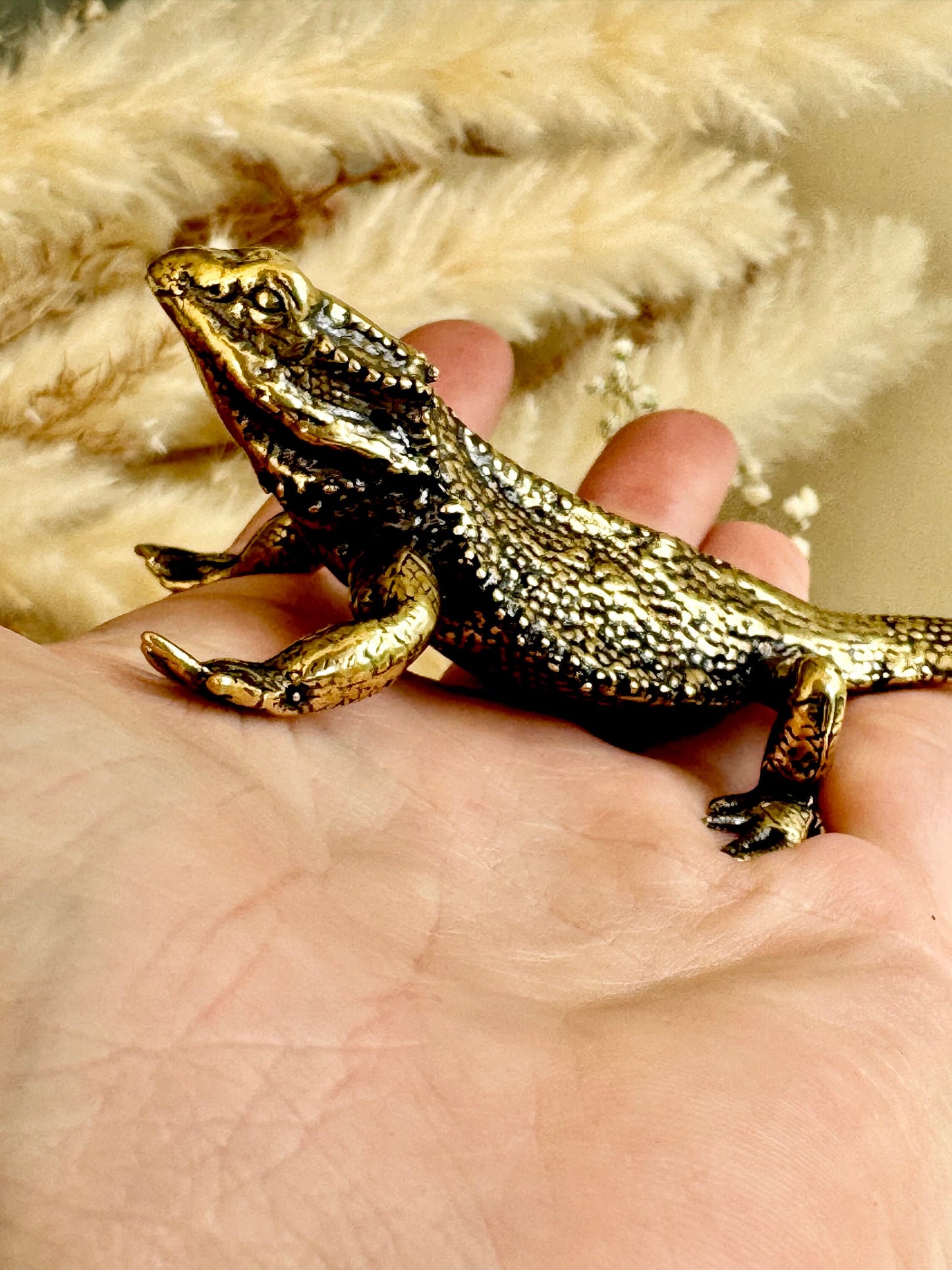 Fine lifelike Brass Bearded dragon Miniature, dragon sculpture, lizard figurine, solid brass figurine, Iguana ornament, metal reptile