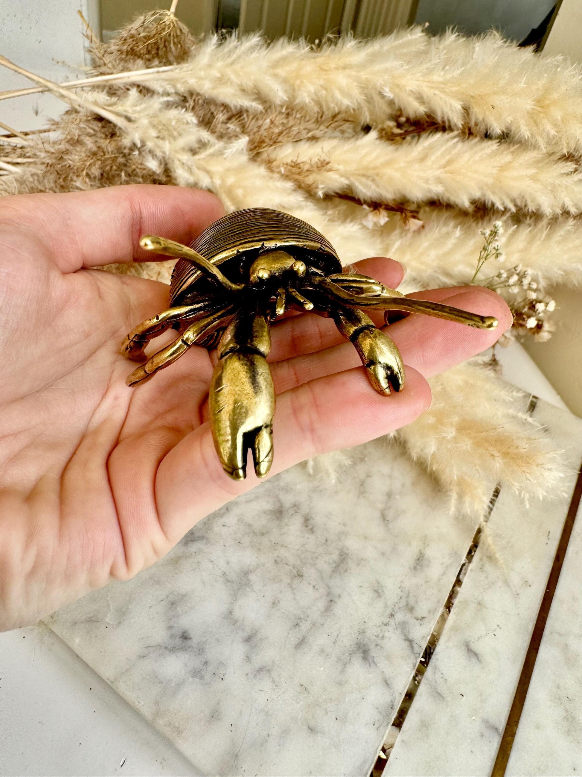 Big Solid Brass Hermit Crab Ornament, seashell figurine, ocean art mollusc miniature, sea-themed decoration, Big crab paperweight