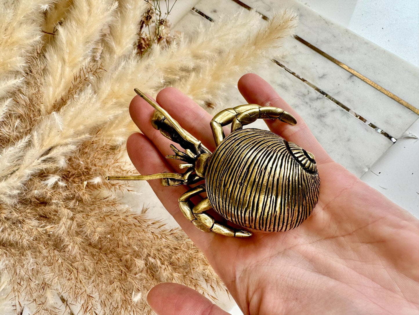 Big Solid Brass Hermit Crab Ornament, seashell figurine, ocean art mollusc miniature, sea-themed decoration, Big crab paperweight