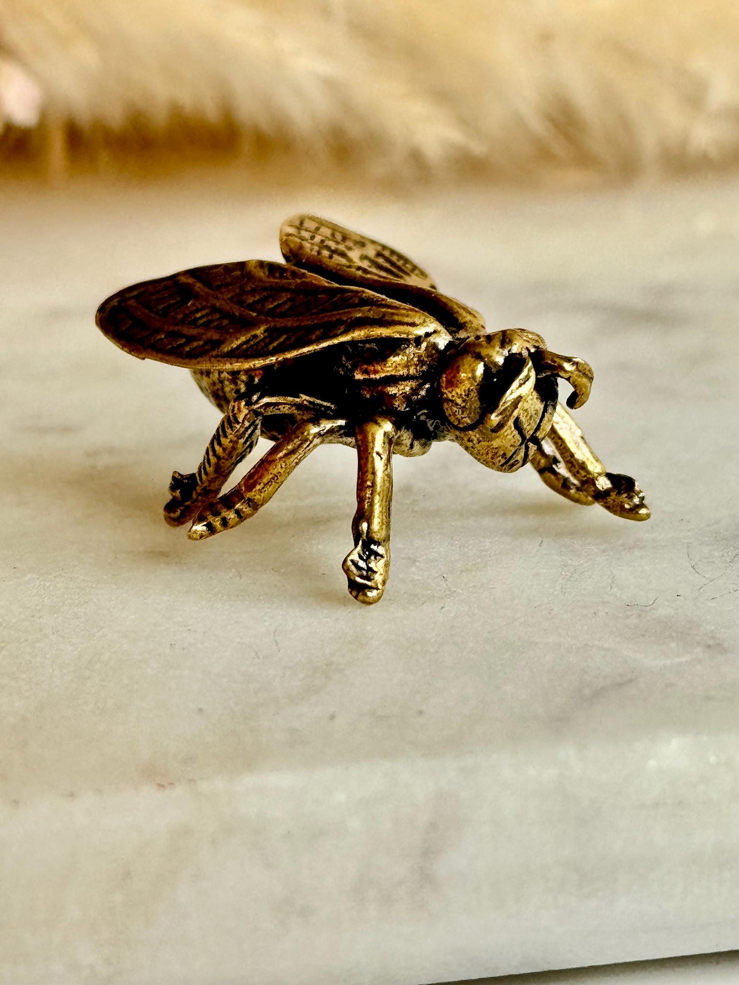 Realistic Solid brass Bee ornament, solid brass Diptera figurine, Fly Statuette, insect pot decor, cute little insect gift, insect lover gif