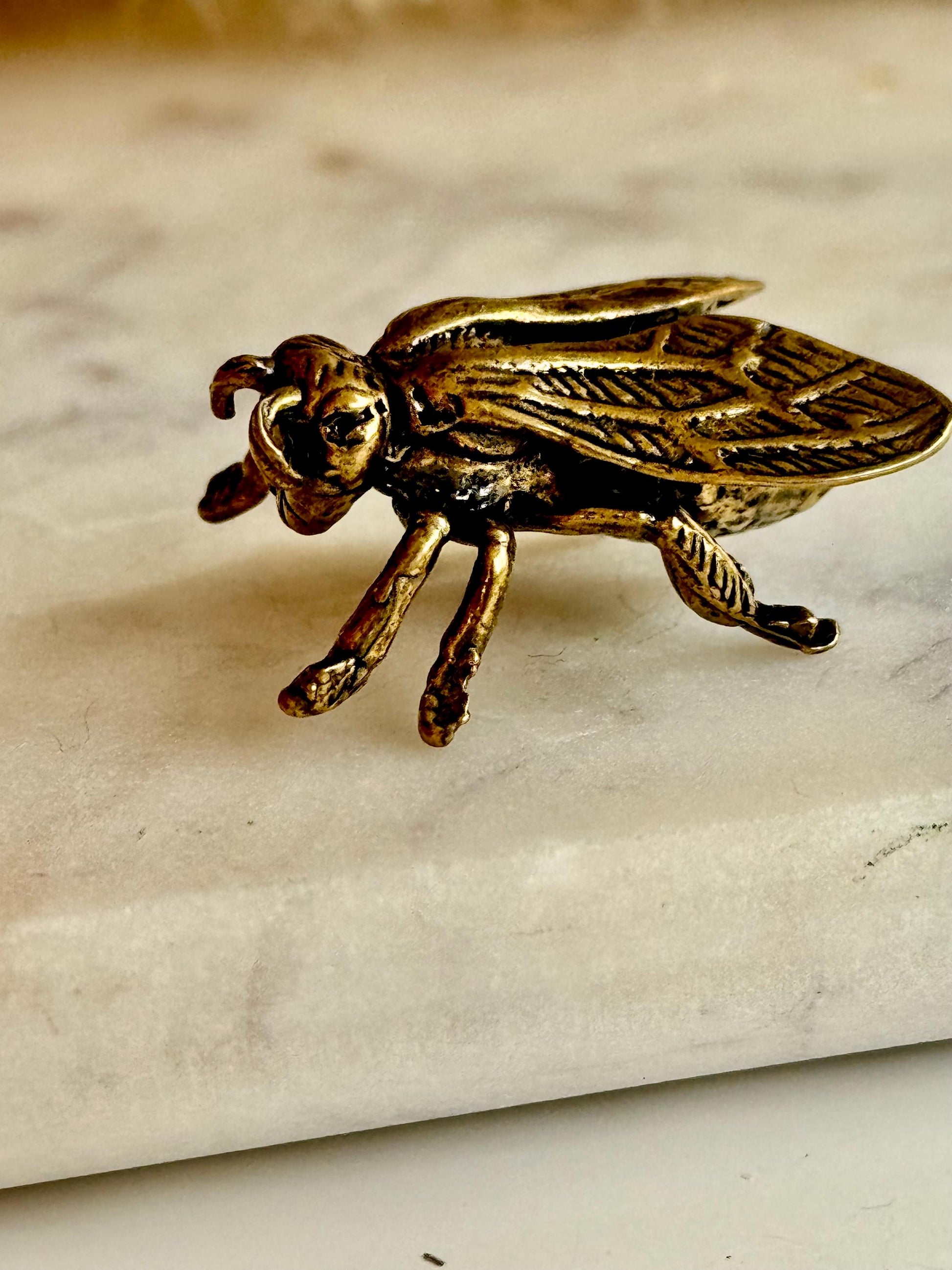Realistic Solid brass Bee ornament, solid brass Diptera figurine, Fly Statuette, insect pot decor, cute little insect gift, insect lover gif