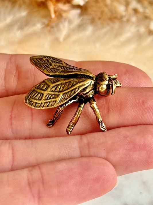 Realistic Solid brass Bee ornament, solid brass Diptera figurine, Fly Statuette, insect pot decor, cute little insect gift, insect lover gif