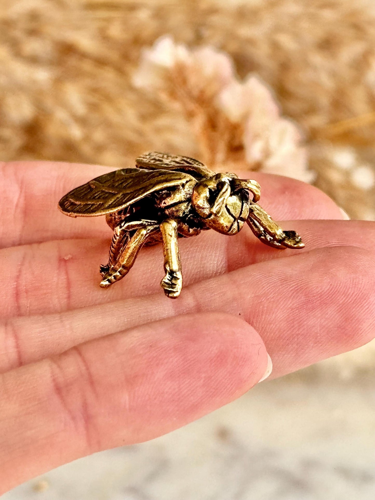 Realistic Solid brass Bee ornament, solid brass Diptera figurine, Fly Statuette, insect pot decor, cute little insect gift, insect lover gif