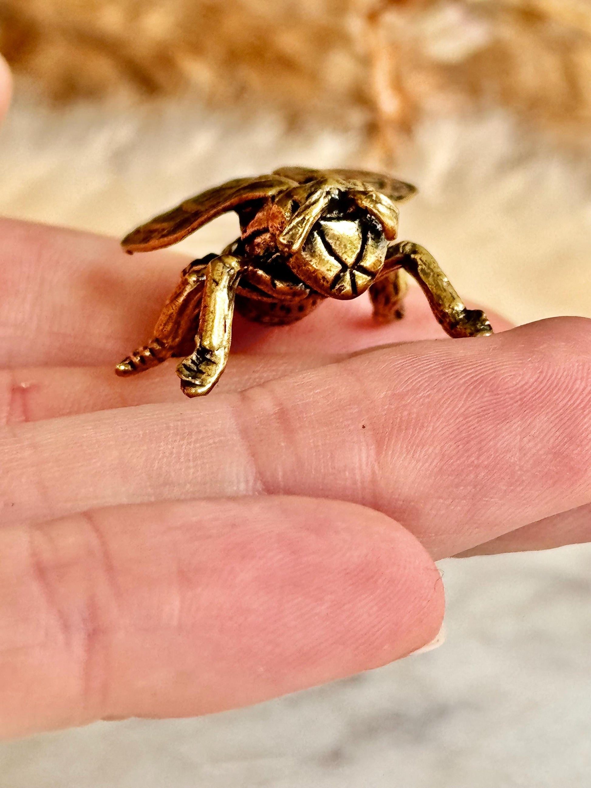 Realistic Solid brass Bee ornament, solid brass Diptera figurine, Fly Statuette, insect pot decor, cute little insect gift, insect lover gif