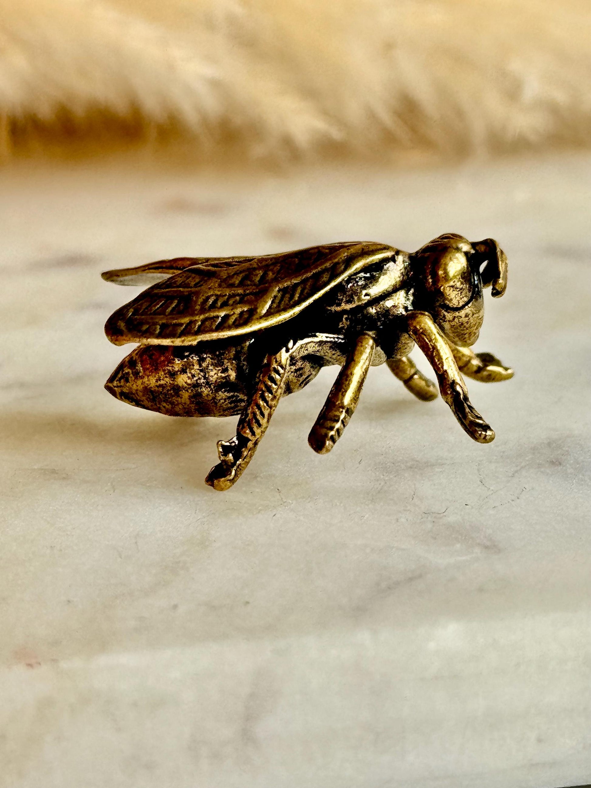 Realistic Solid brass Bee ornament, solid brass Diptera figurine, Fly Statuette, insect pot decor, cute little insect gift, insect lover gif