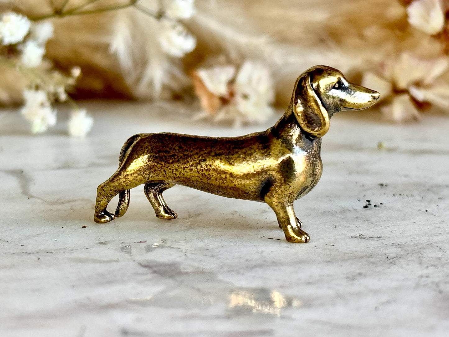 Lifelike solid brass dachshund figurine, beautiful German badger-dog statuette, metal sausage dog ornament, beautiful dog paperweight