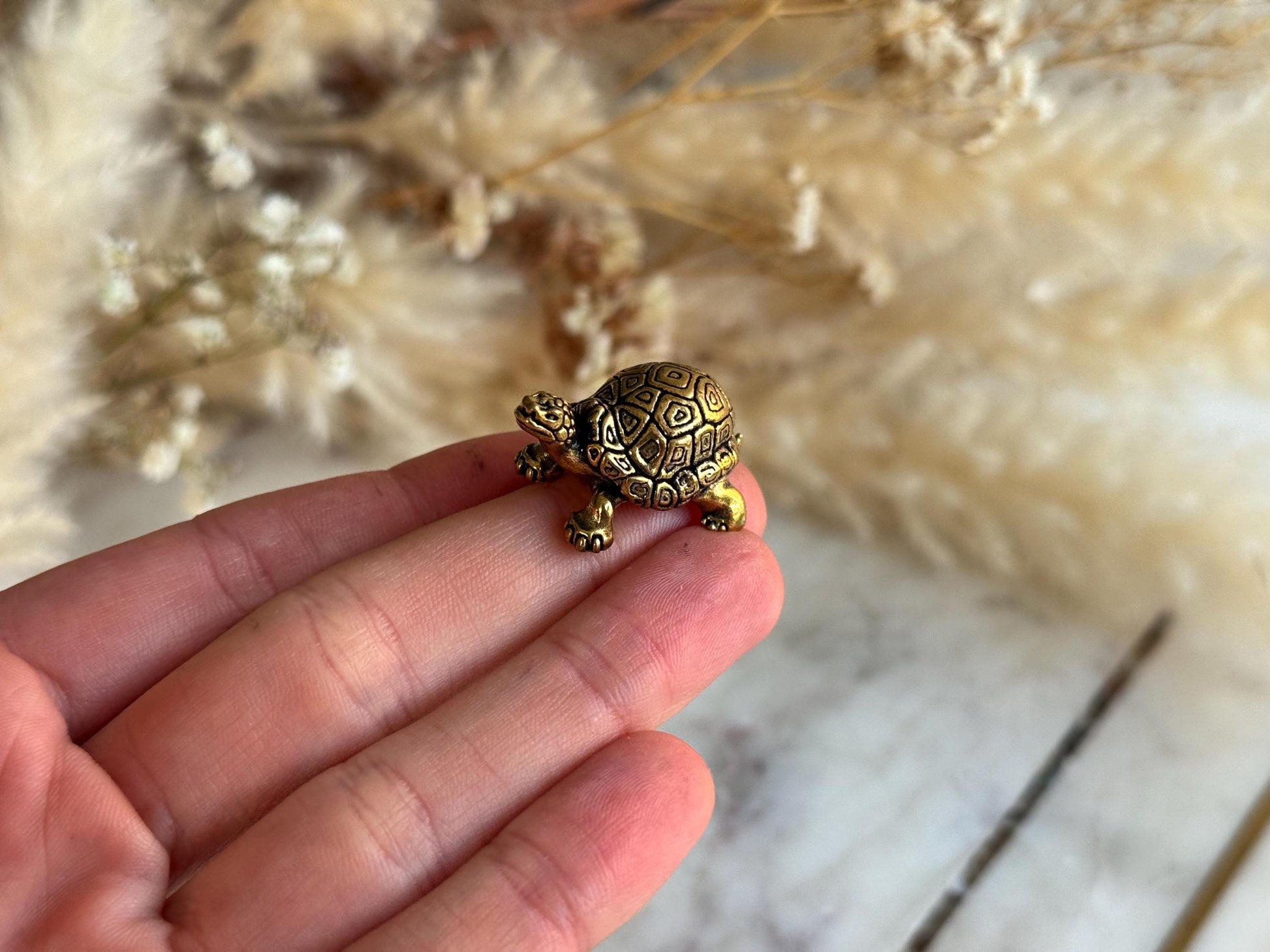Small Brass Turtle figurine, Turtle ornament, Cute little tortoise gift, Japanese style statue, Feng Shui ornament