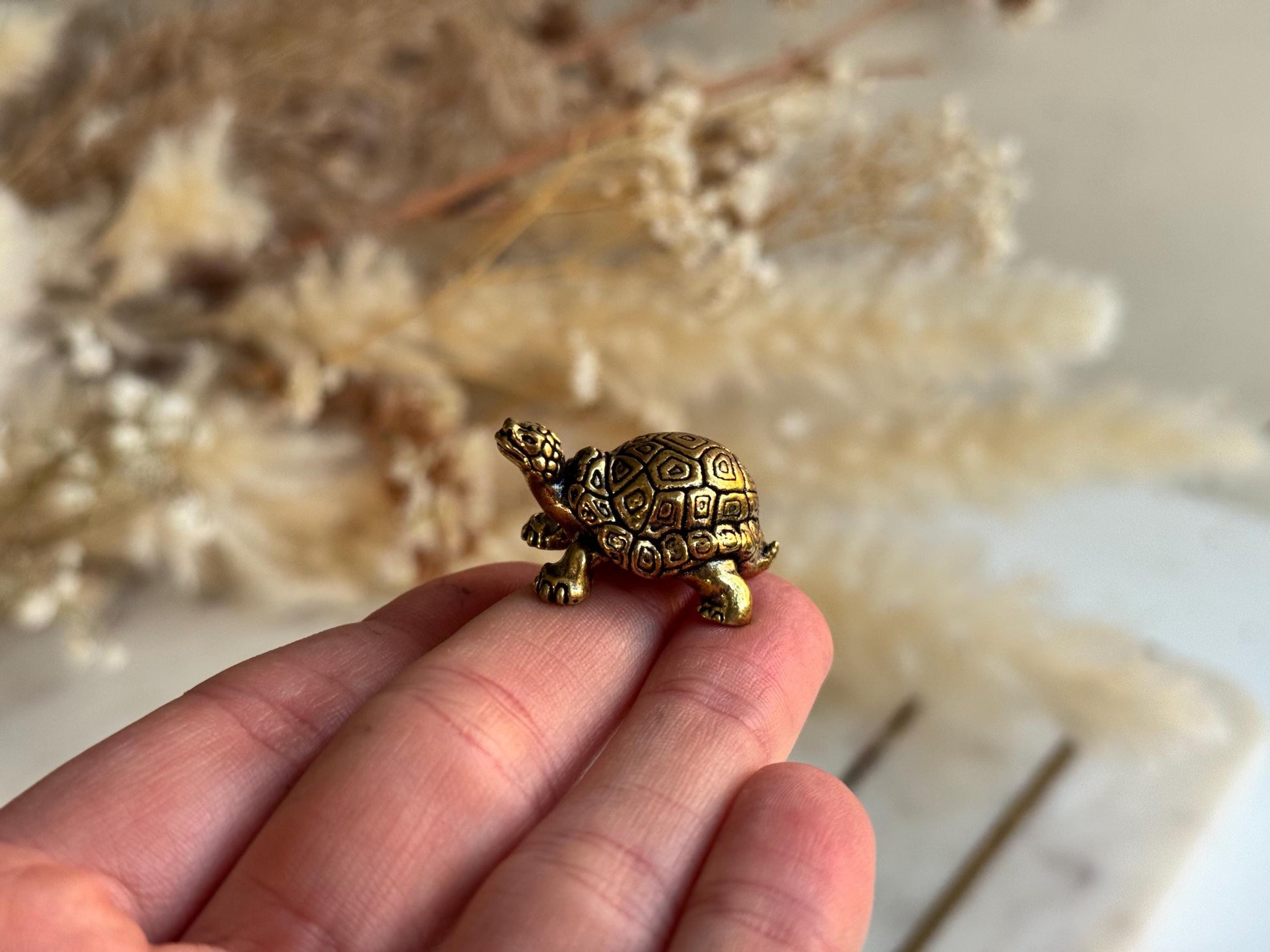 Small Brass Turtle figurine, Turtle ornament, Cute little tortoise gift, Japanese style statue, Feng Shui ornament