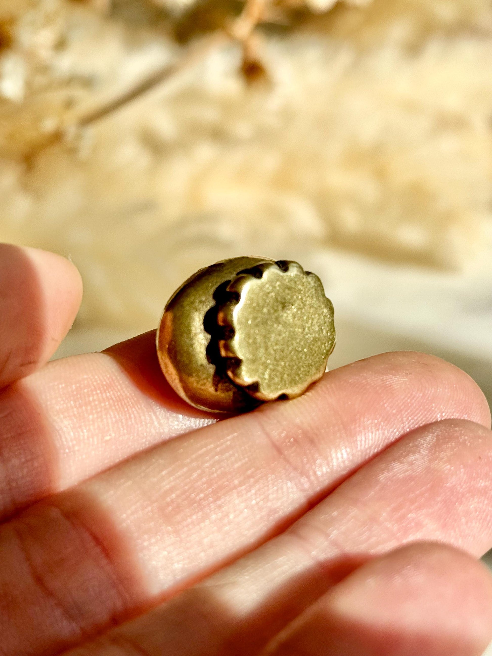 Cute Baby Jellyfis Solid Brass Figurine, Jellyfish Miniature Figurine, Sea animals ornament, Collectible miniature, sea lover Gift