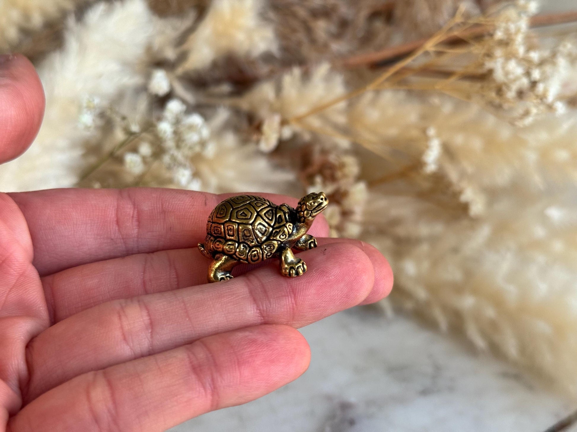 Small Brass Turtle figurine, Turtle ornament, Cute little tortoise gift, Japanese style statue, Feng Shui ornament