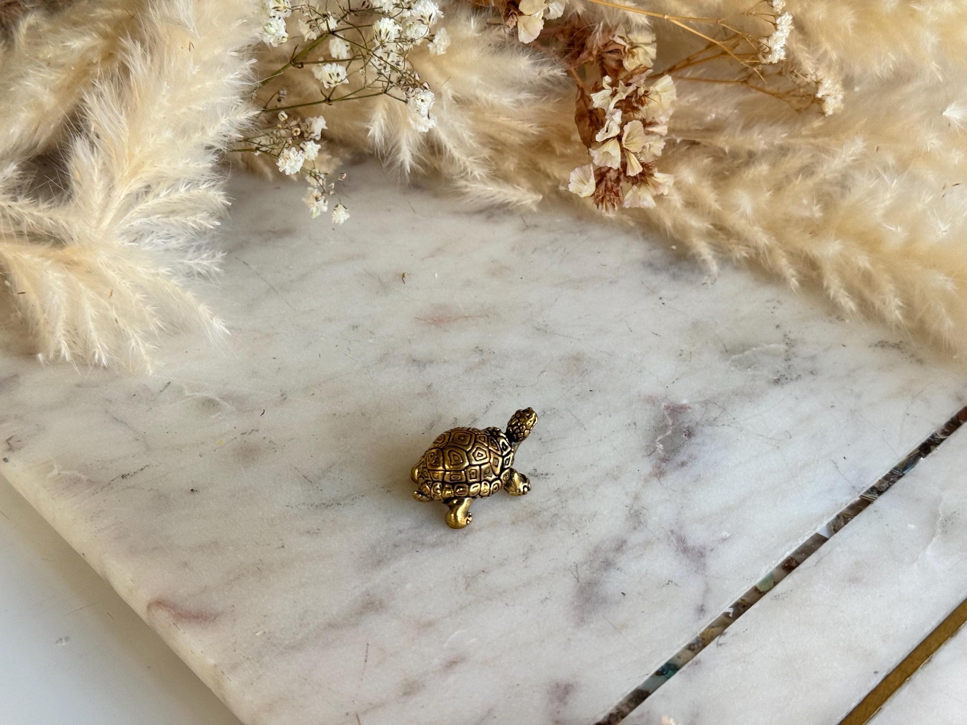 Small Brass Turtle figurine, Turtle ornament, Cute little tortoise gift, Japanese style statue, Feng Shui ornament