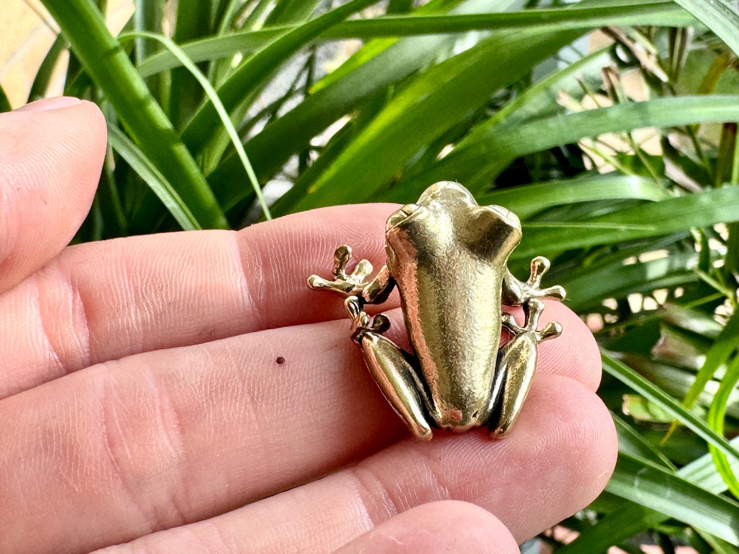 Fine Lifelike Solid Brass Frog figurine, Couple of Frogs Statue, Small Paperweight, Cute collectible figurine, Desk Accessory