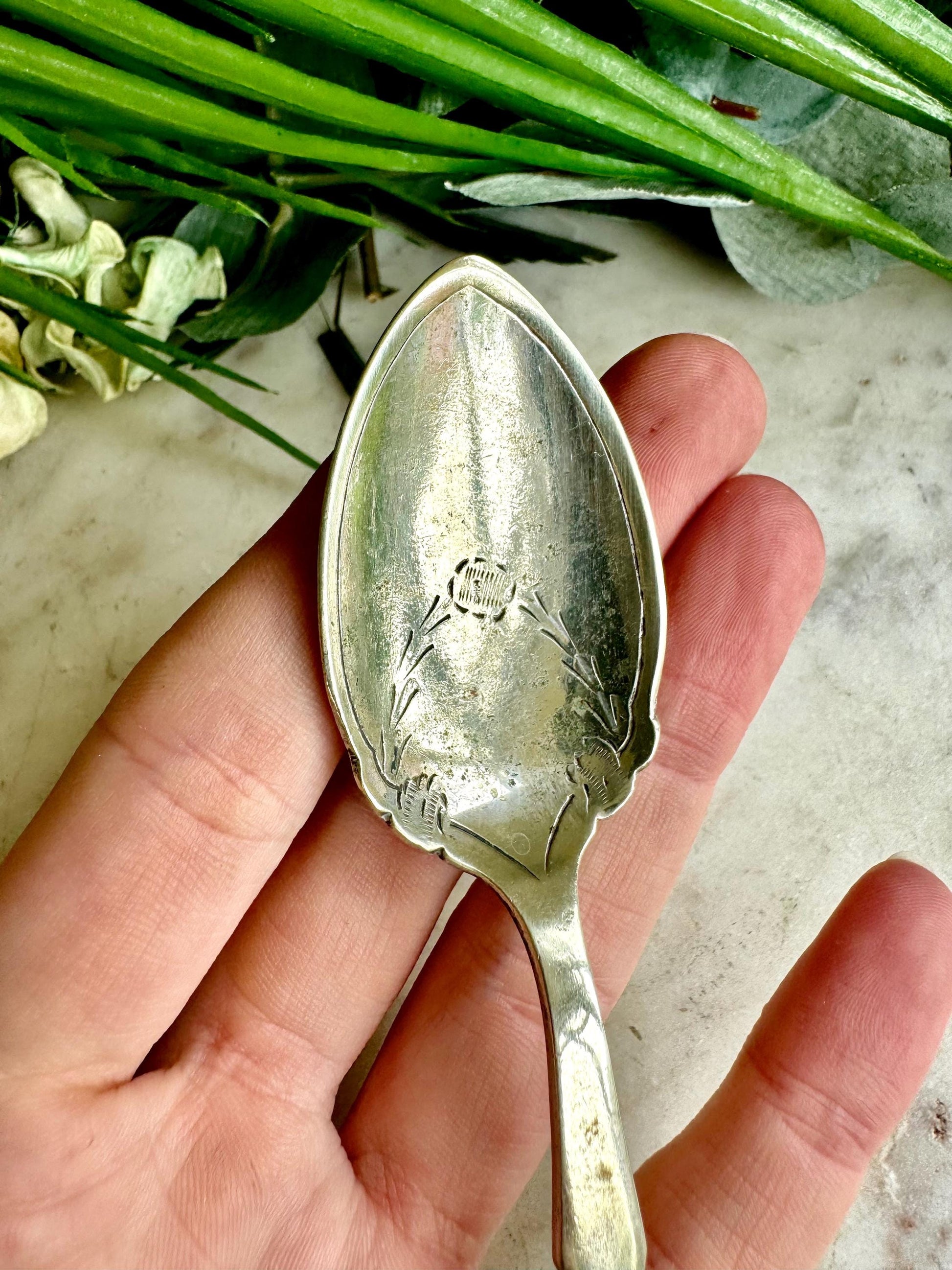 Antique Silver-Plated Preserve Spoon with Mother-of-Pearl Handle Elegant Vintage, Ornate Collectible Cutlery, Timeless Table