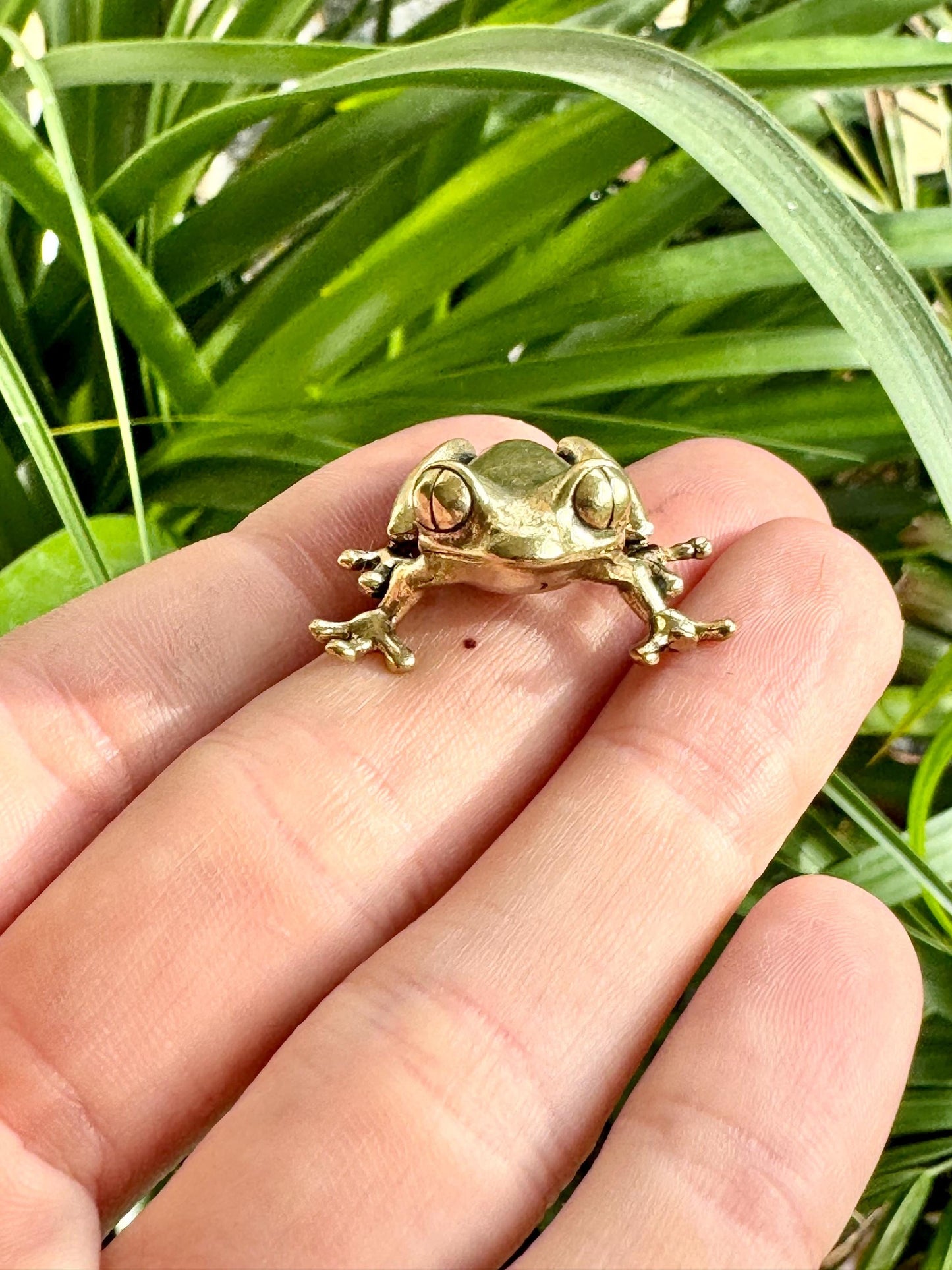 Fine Lifelike Solid Brass Frog figurine, Couple of Frogs Statue, Small Paperweight, Cute collectible figurine, Desk Accessory
