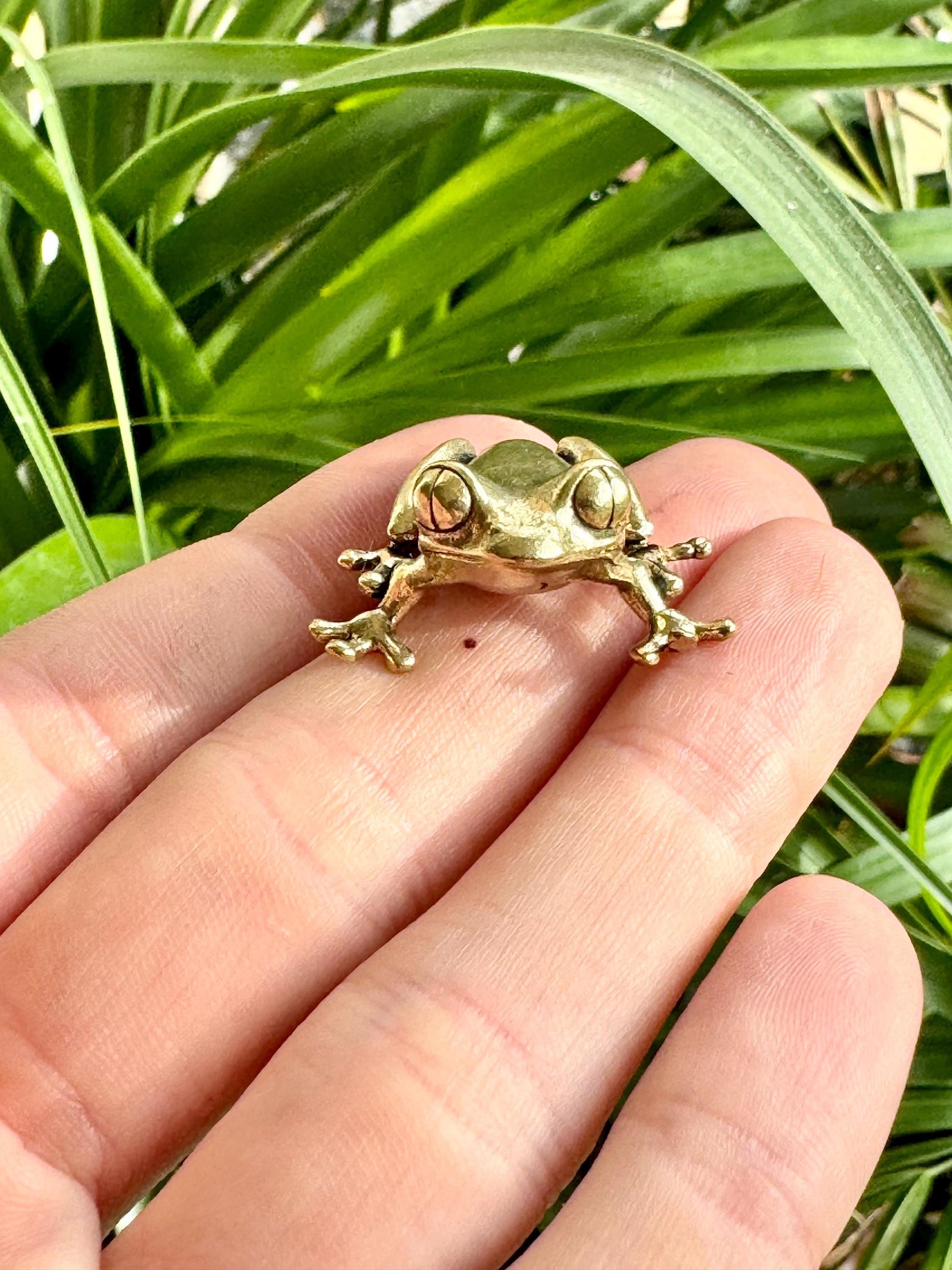 Fine Lifelike Solid Brass Frog figurine, Couple of Frogs Statue, Small Paperweight, Cute collectible figurine, Desk Accessory