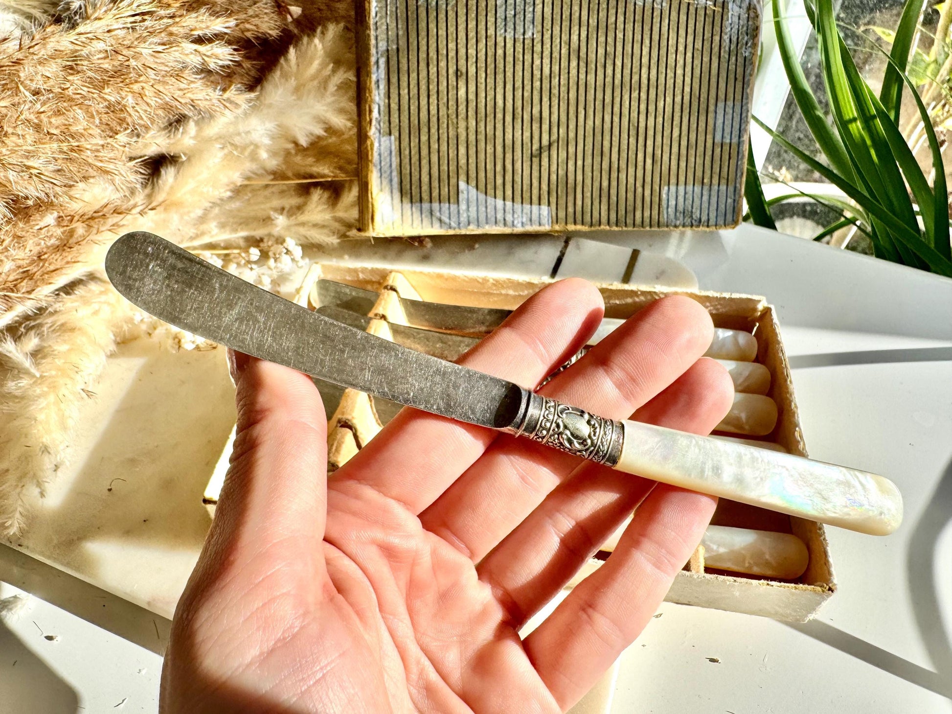 Set of 6 Antique Silver Plated Knives with Mother of Pearl Handles in Original Box, Edwardian Era Cutlery