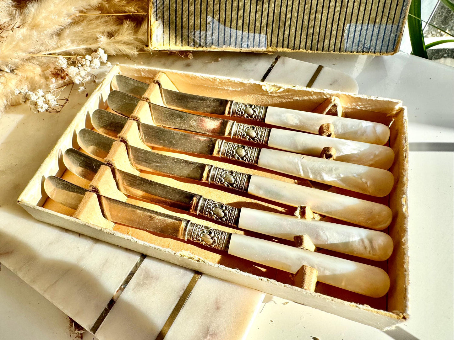 Set of 6 Antique Silver Plated Knives with Mother of Pearl Handles in Original Box, Edwardian Era Cutlery