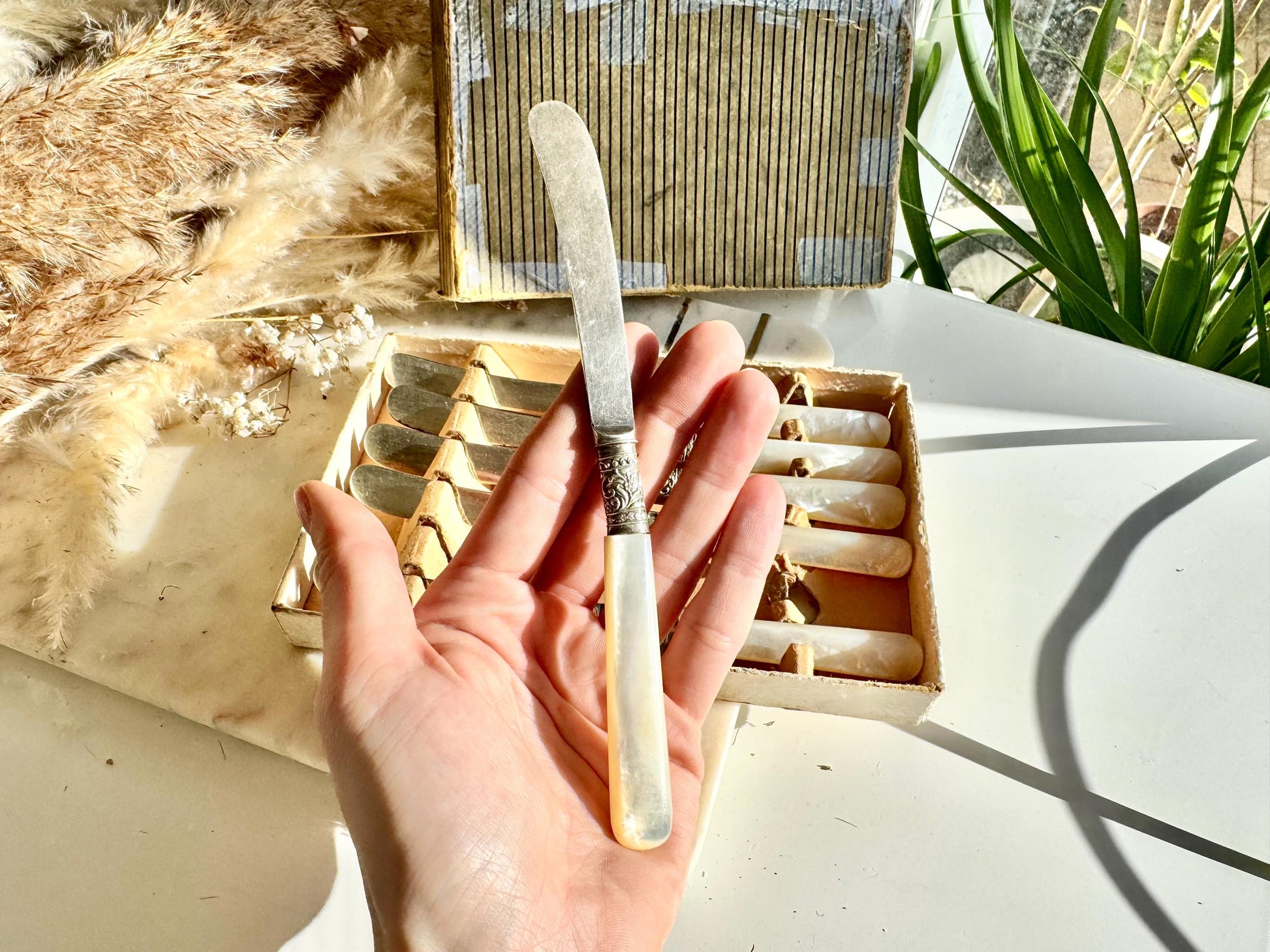 Set of 6 Antique Silver Plated Knives with Mother of Pearl Handles in Original Box, Edwardian Era Cutlery