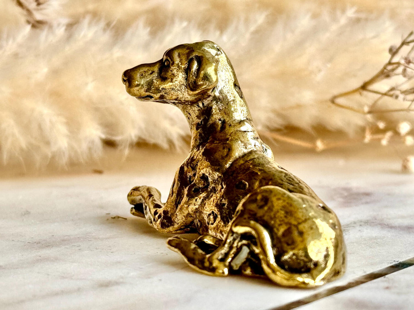 Solid Brass Dalmatian Dog Figurine, Elegant Collectible Ornament, Decorative Home Accent for Dog Lovers