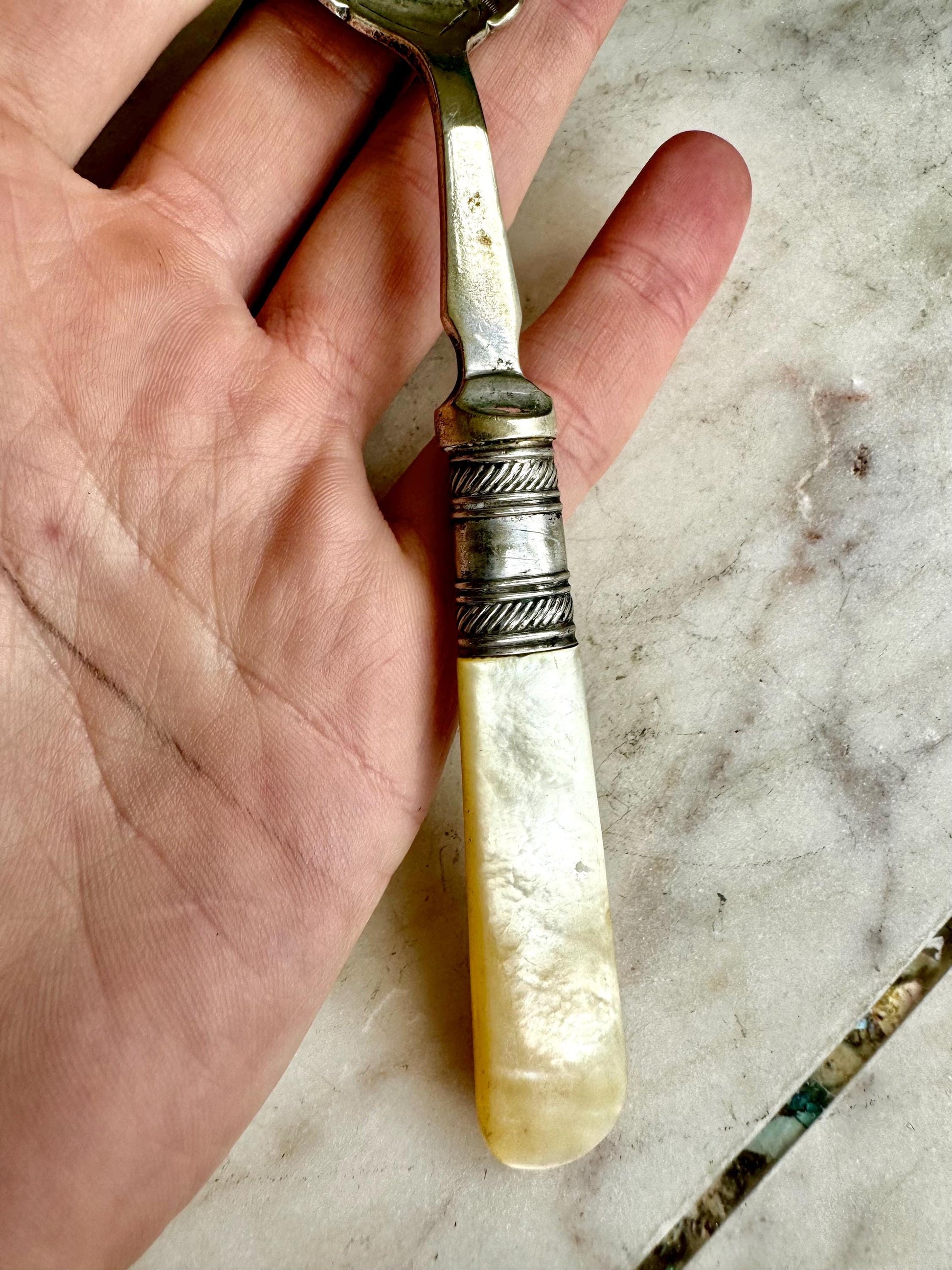 Antique Silver-Plated Preserve Spoon with Mother-of-Pearl Handle Elegant Vintage, Ornate Collectible Cutlery, Timeless Table
