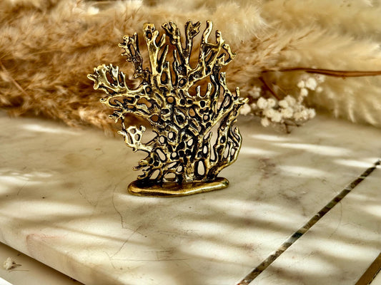 Solid Brass Abstract Sea Coral Sculpture Paperweight — Modern Organic Coastal Decor Accent