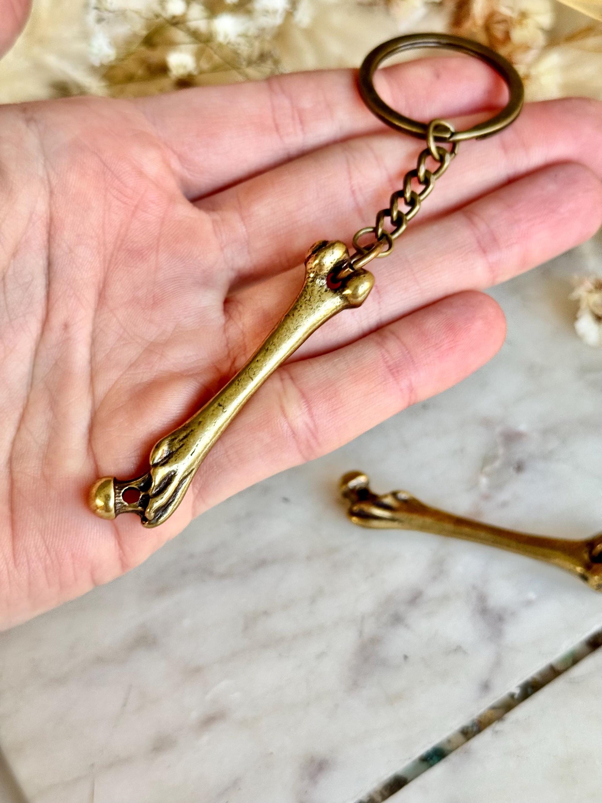 Brass Keychain – Anatomical Bone with Claw Detail – Unusual Gift for Doctor or Anatomist – Halloween Gothic Key Ring