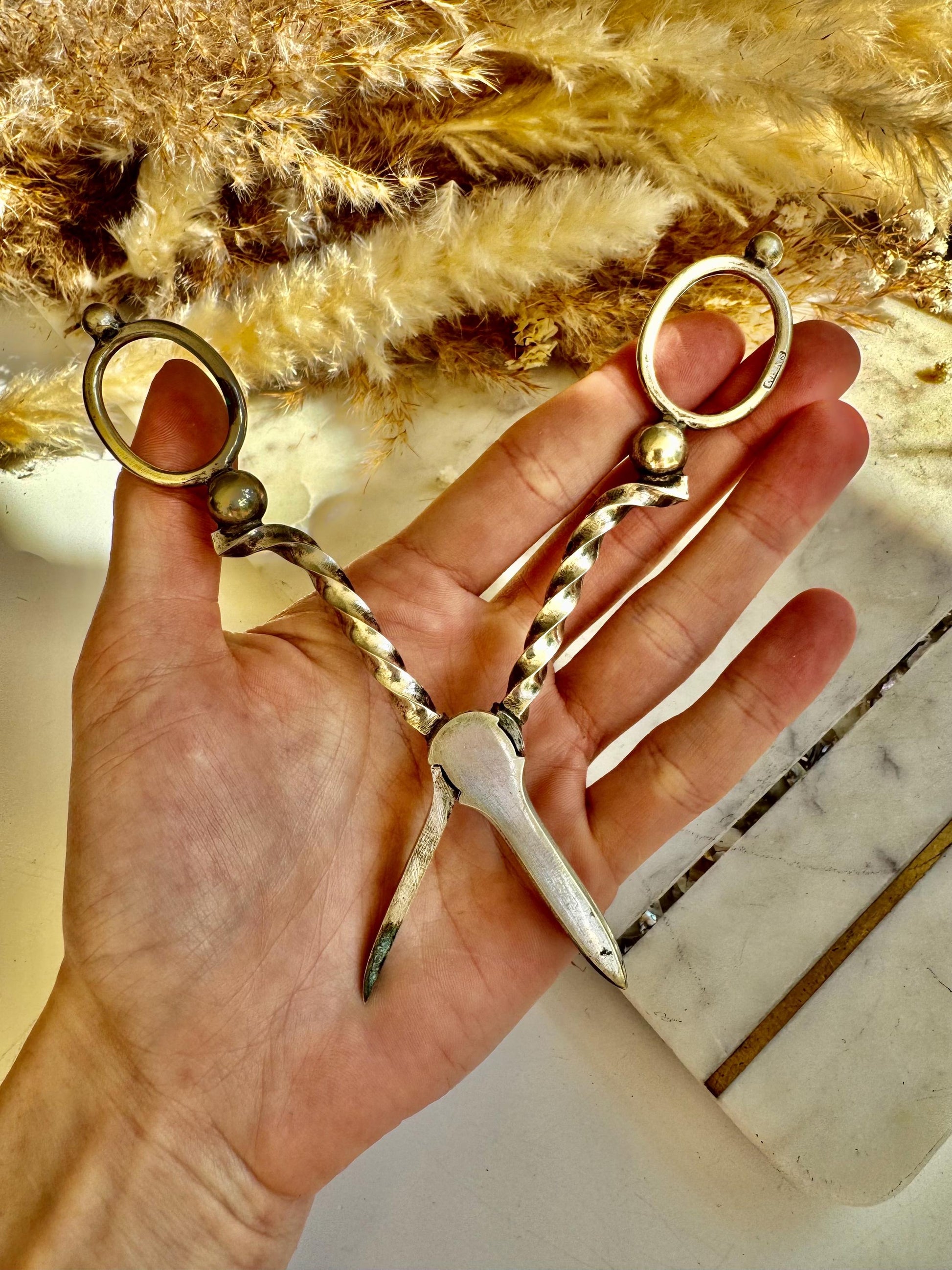 Antique Silver-Plated Wick Trimmers with Ornate Twisted Handles, Victorian Candle Snuffer Scissors, English Fireplace Accessory