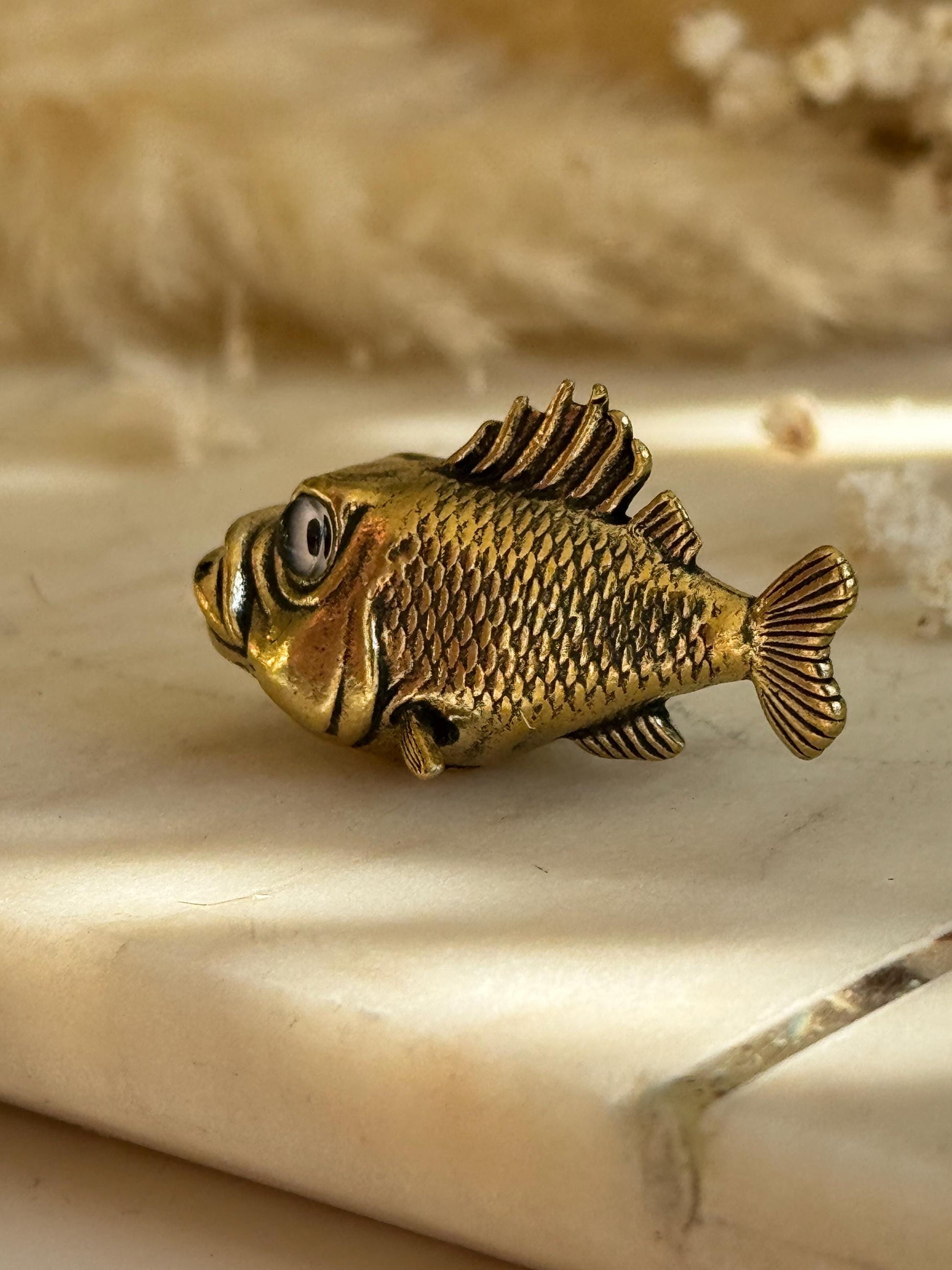 Miniature Brass Fish Figurine – Wide-Eyed Funny Fish Sculpture with Comical Expression, Miniature Blenny Fish with Big Eyes, Brass Fish