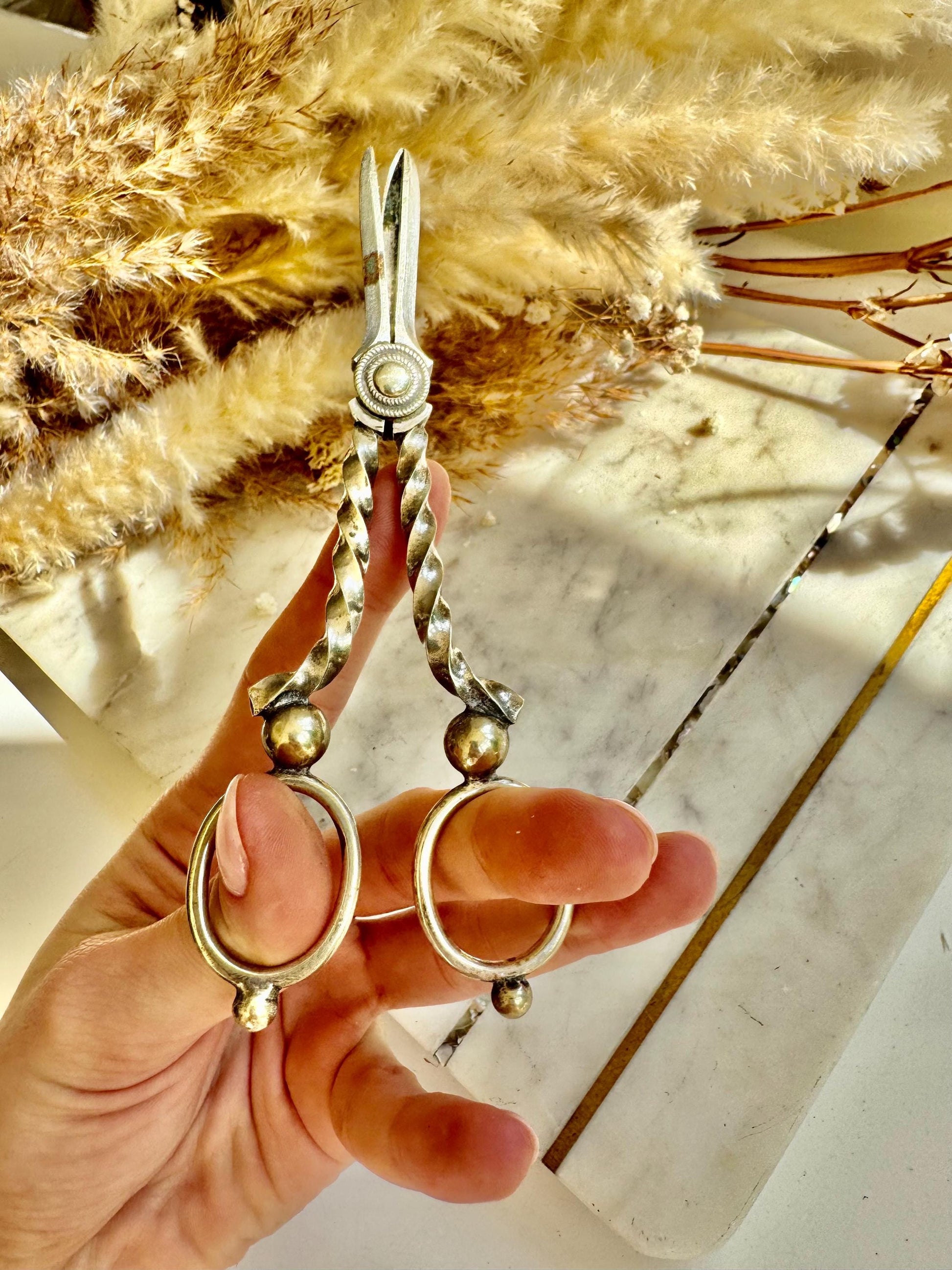 Antique Silver-Plated Wick Trimmers with Ornate Twisted Handles, Victorian Candle Snuffer Scissors, English Fireplace Accessory