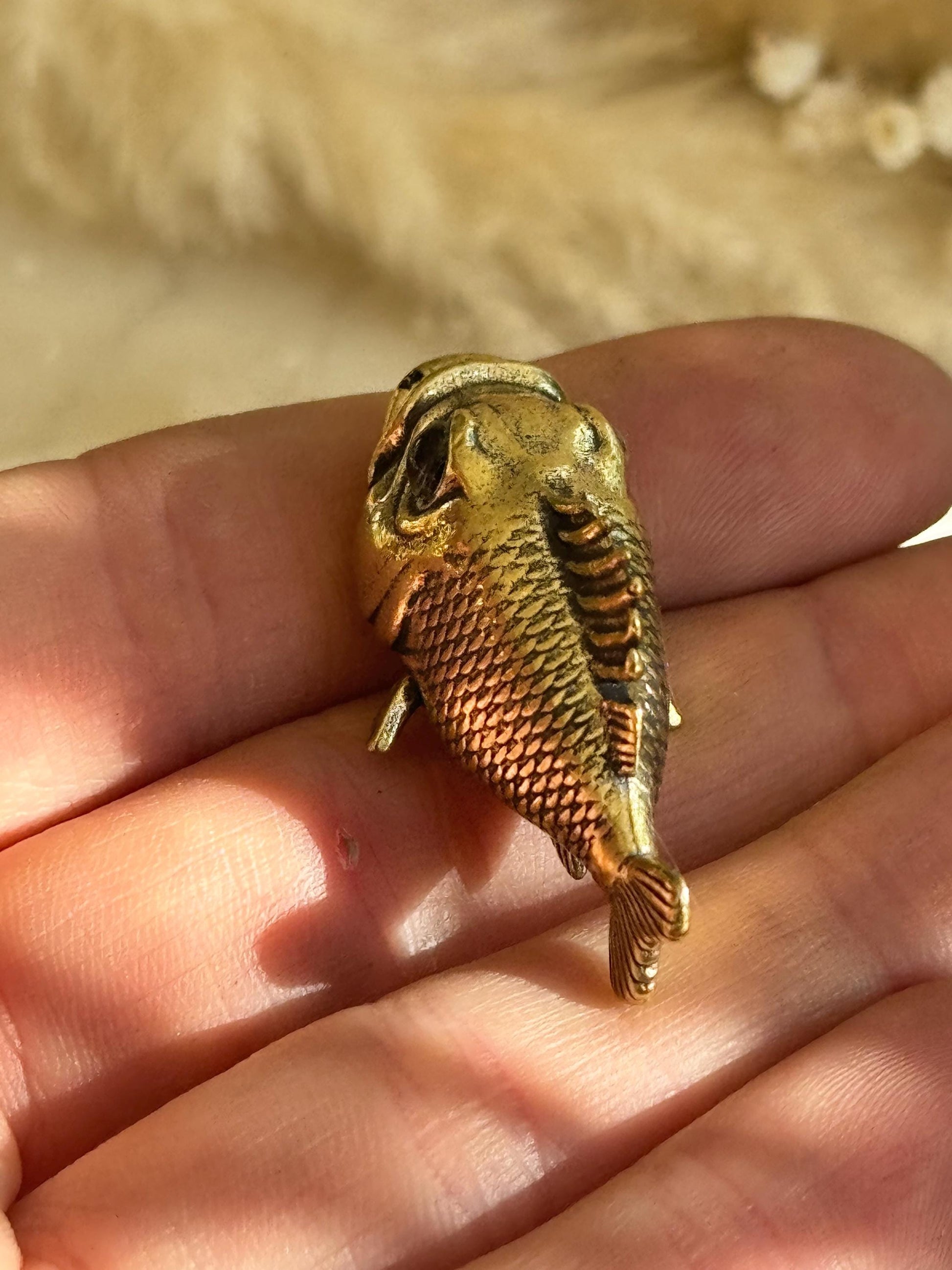 Miniature Brass Fish Figurine – Wide-Eyed Funny Fish Sculpture with Comical Expression, Miniature Blenny Fish with Big Eyes, Brass Fish