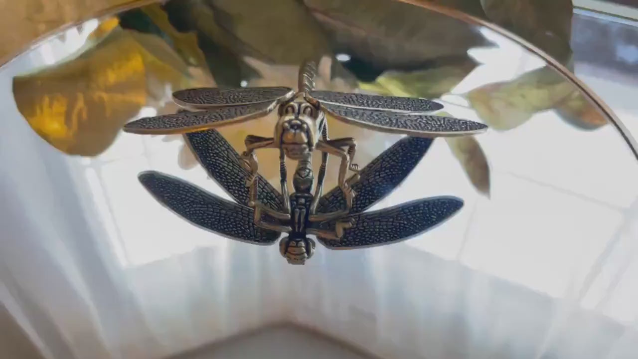 Creative Dragonfly Plant Pot Decoration, dragonfly figurine, Solid Brass, removable wings, creative Cool gift, Insect club
