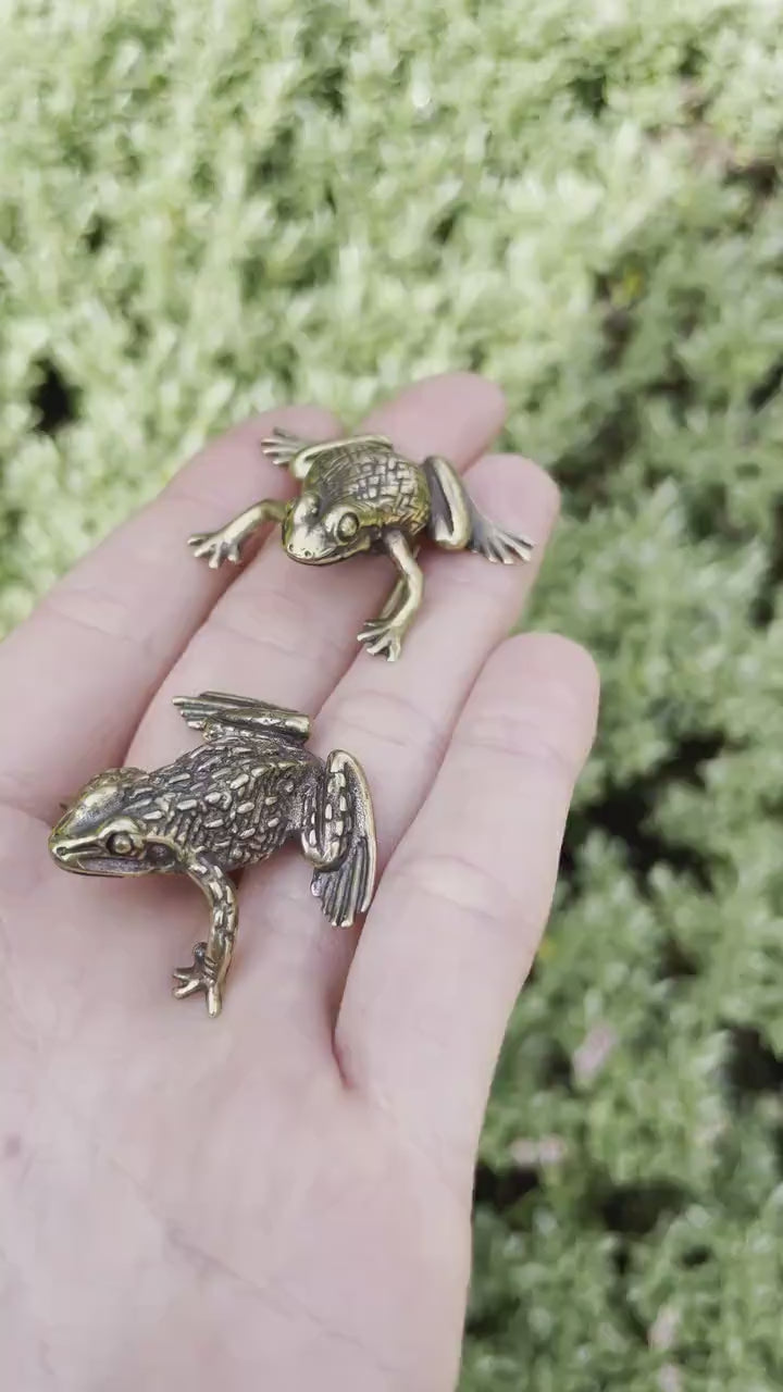 Fine Lifelike Solid Brass Frog figurine, Couple of Frogs Statue, Small Paperweight, Cute collectible figurine, Desk Accessory