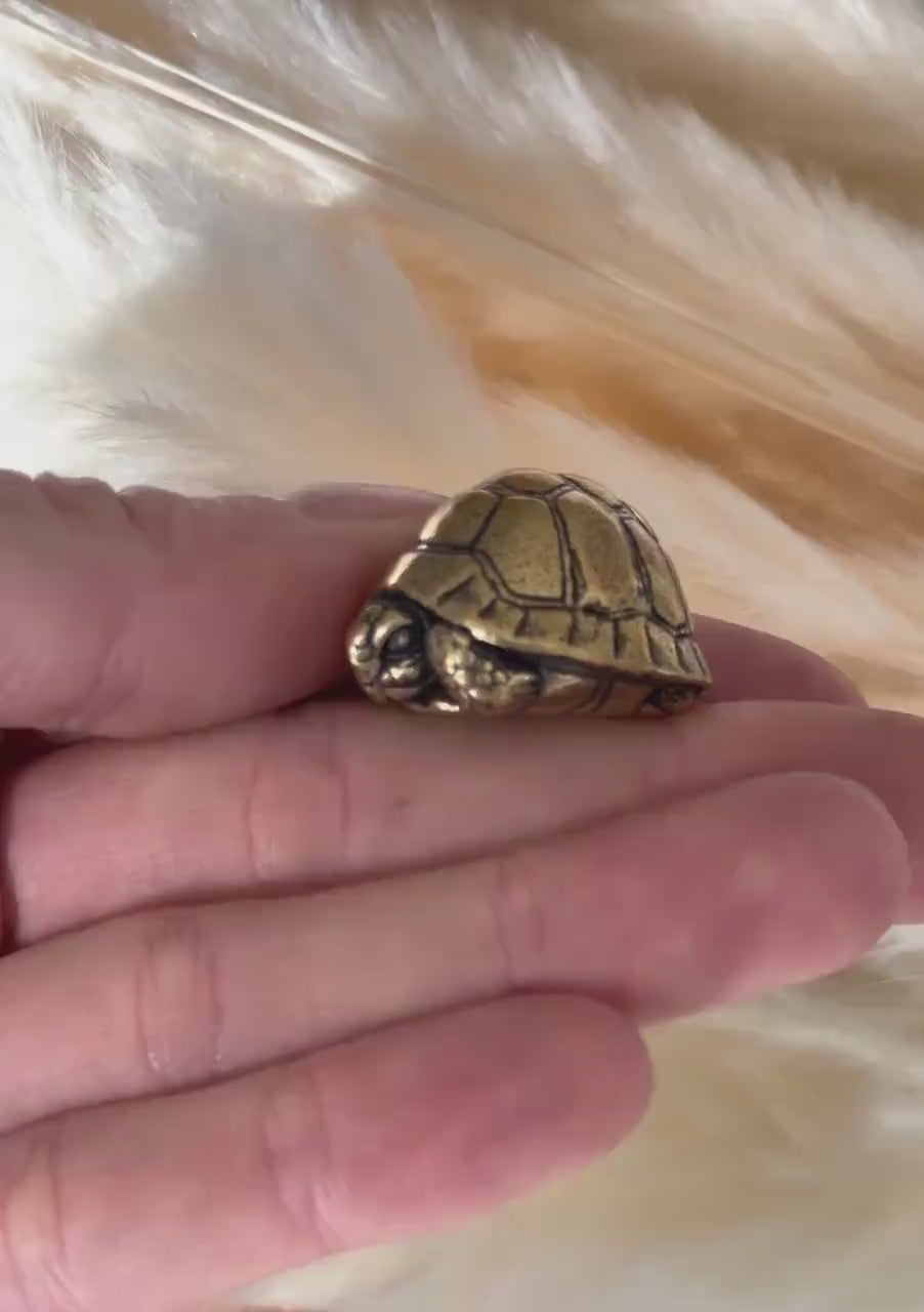 Brass tortoise figurine, solid brass casting, reptile figurine, creative paperweight, brass plant decor, cute gift
