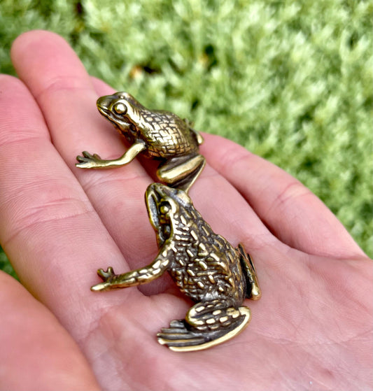Fine Lifelike Solid Brass Frog figurine, Couple of Frogs Statue, Small Paperweight, Cute collectible figurine, Desk Accessory