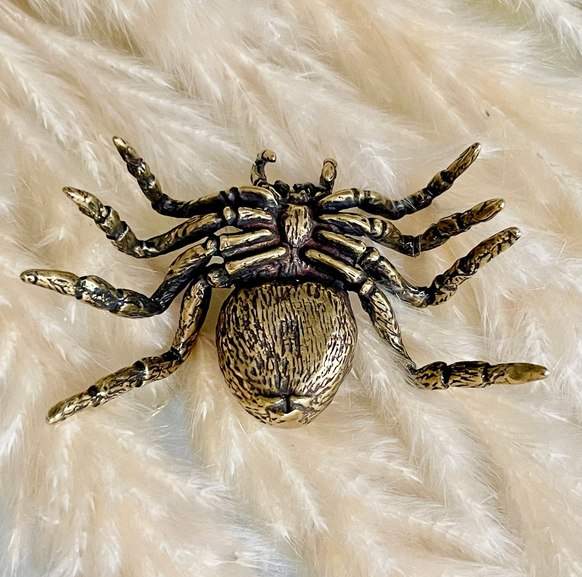 Sydney funnel-web spider figurine, spider metal statue, Lifelike solid brass spider figurine, scary Sculpture, spider lover giftSydney funne